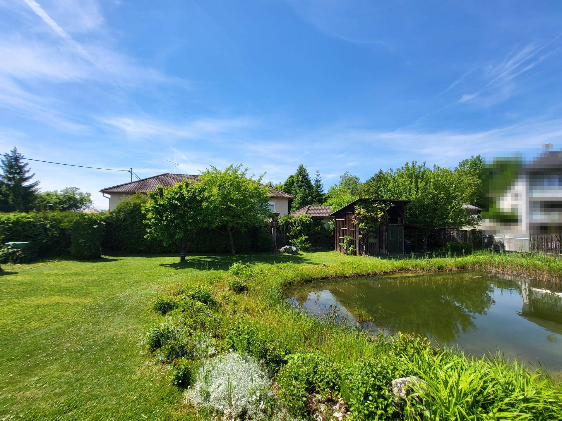 Sonniger Garten mit Teich, üppiger Ufervegetation und einem Gartenhaus im ländlichen Stil.