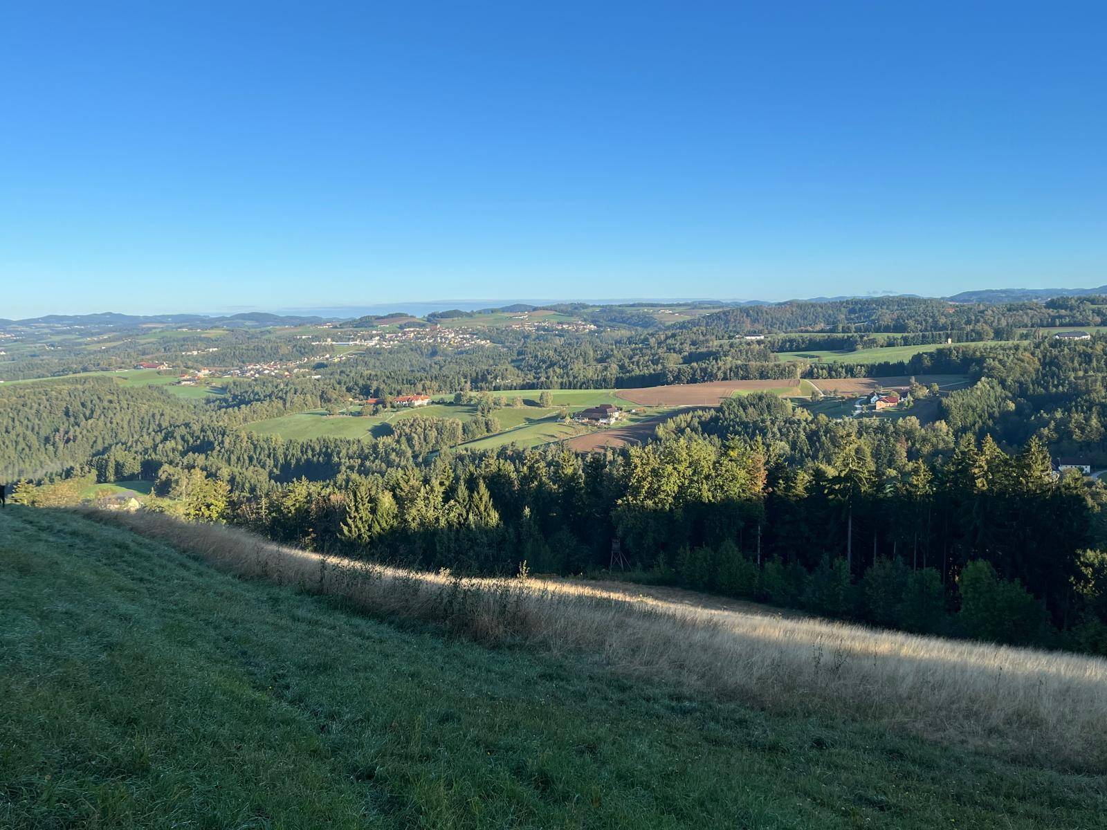 Ausblick