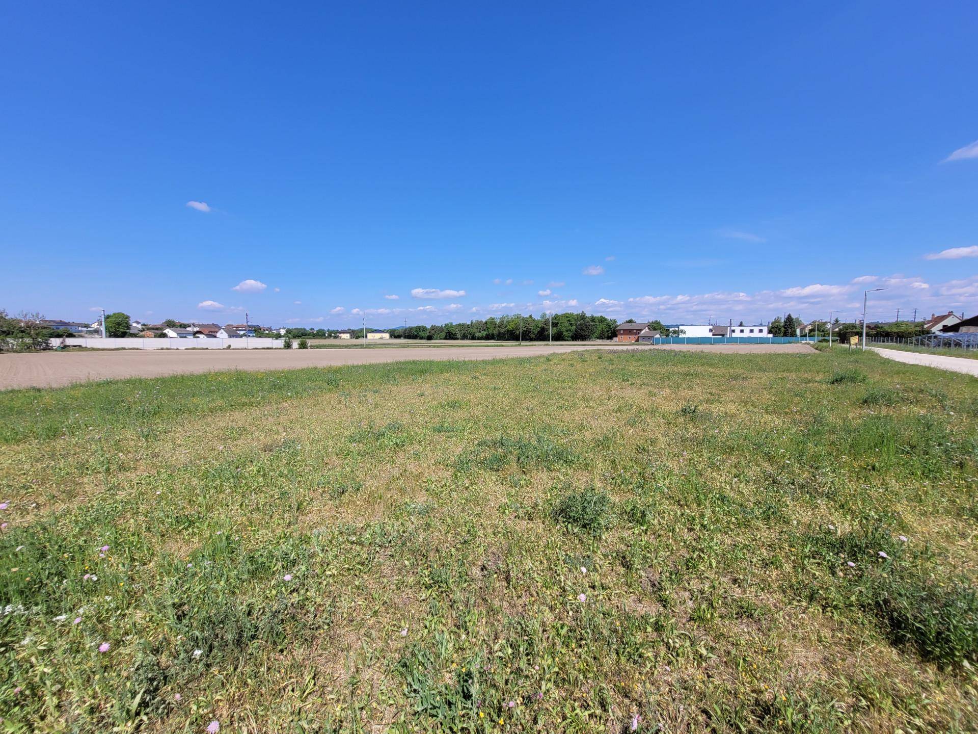 GRUNDSTÜCK 10.328 m² - INTERESSANT FÜR BAUTRÄGER - Ansicht 2