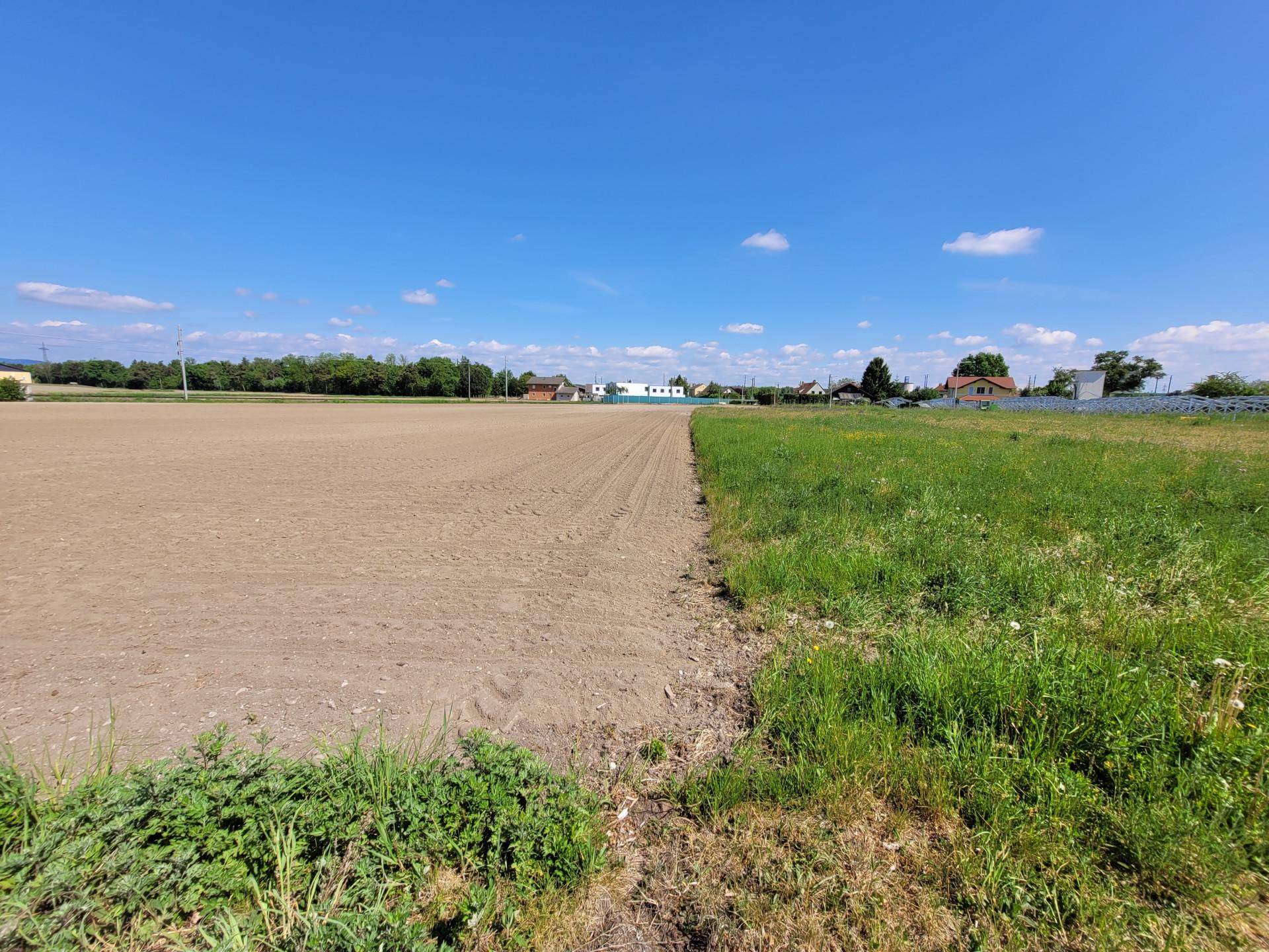GRUNDSTÜCK 10.328 m² - INTERESSANT FÜR BAUTRÄGER - Ansicht 3