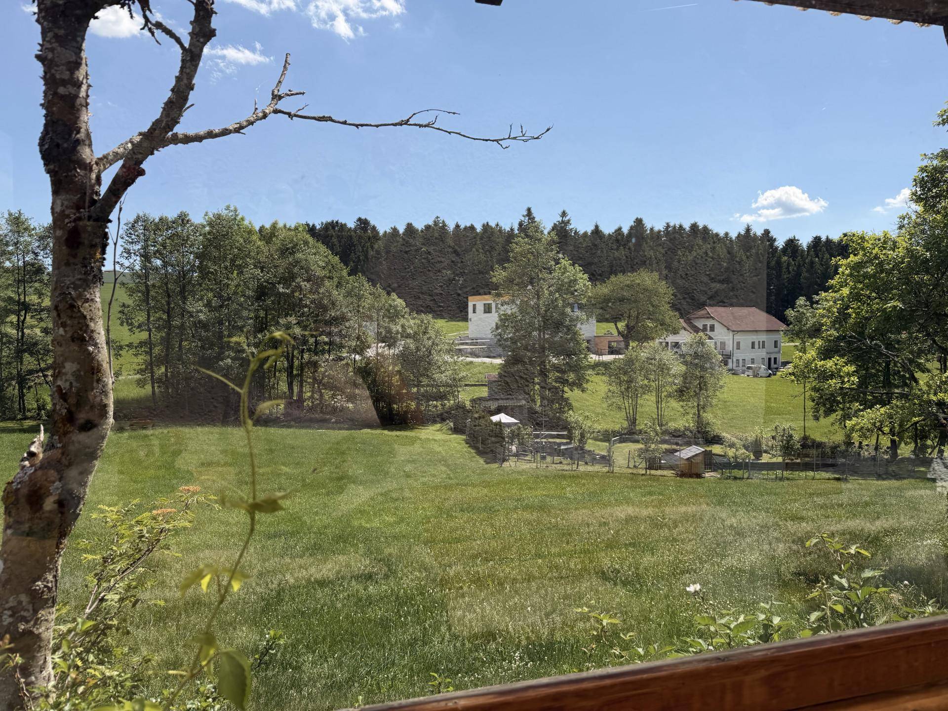 Weitläufiger Blick über grüne Wiesen und Wälder mit weiteren Häusern in der Ferne.