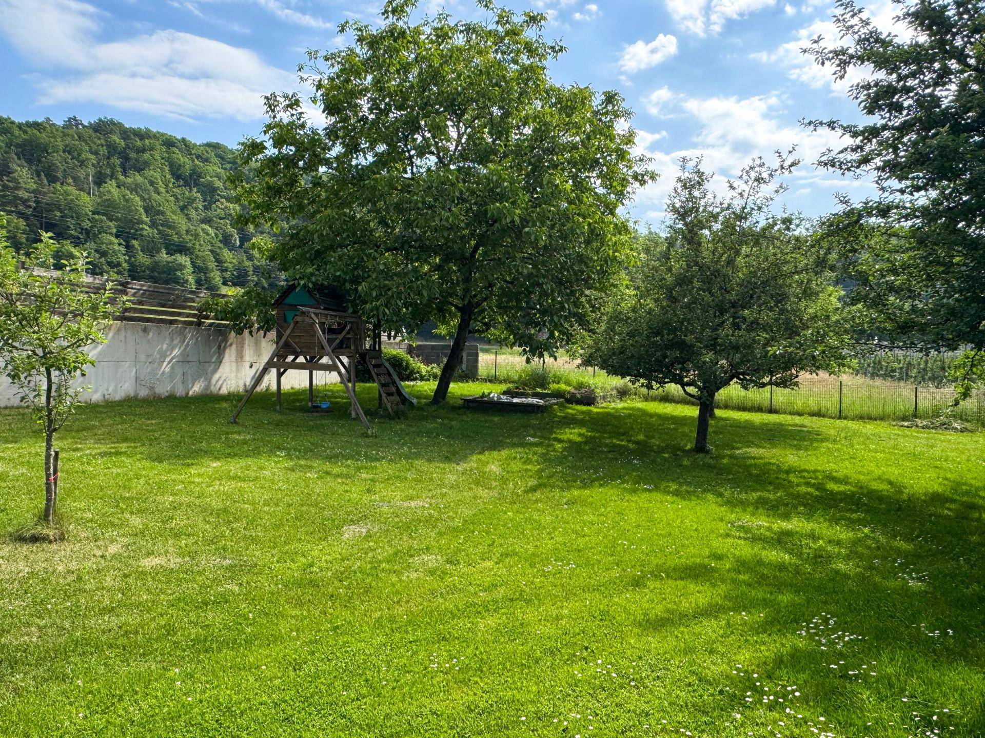 Großer, sonniger Garten mit Rasenfläche, Bäumen und einem Spielhaus für Kinder.