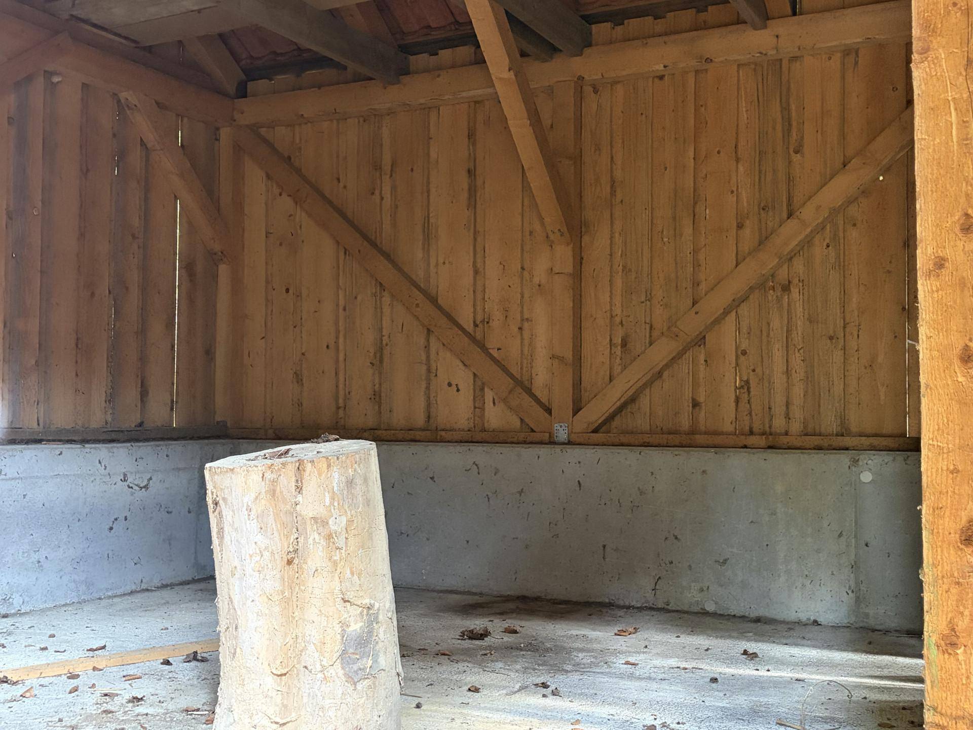 Rustikaler Innenraum mit Holzverkleidung und Betonfundament, ein großer Baumstamm steht im Vordergrund.