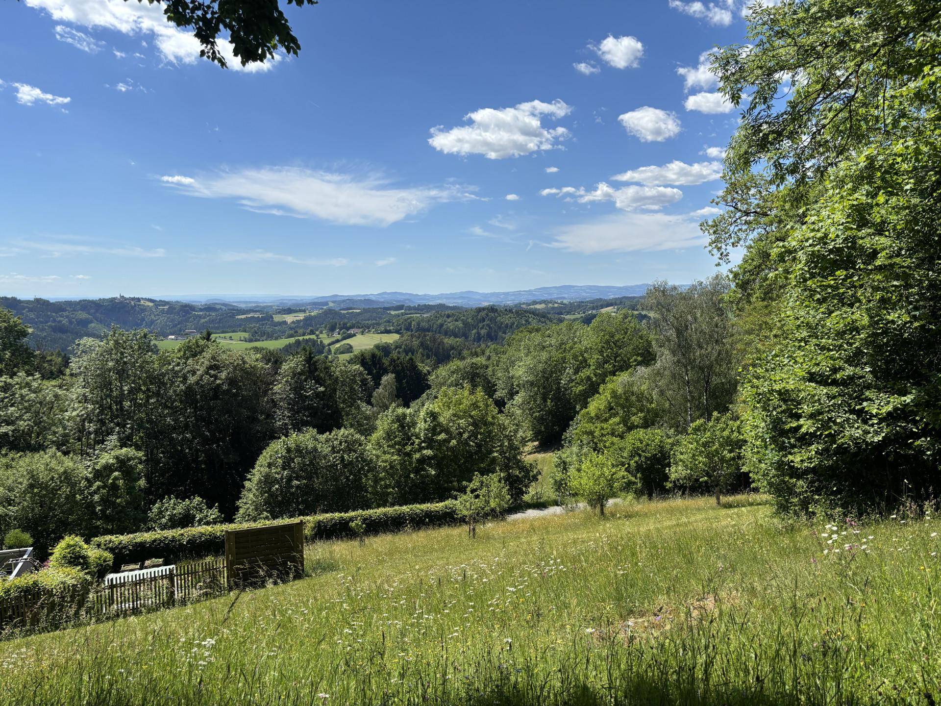 Sonniger Panoramablick über die sanften grünen Hügel und dichten Wälder der Umgebung.