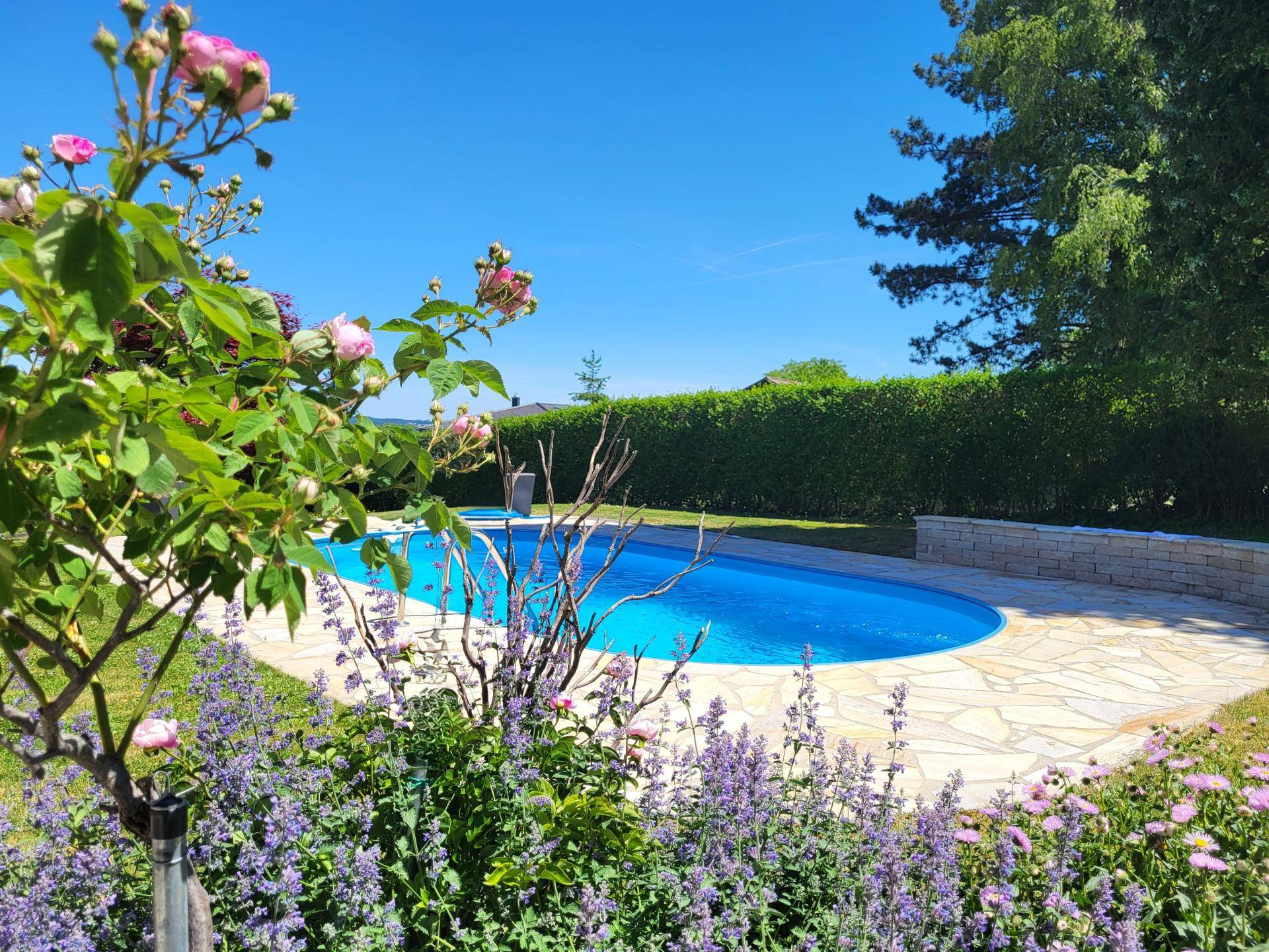 Außenbereich mit Pool, gepflegtem Garten und blühenden Pflanzen unter blauem Himmel.