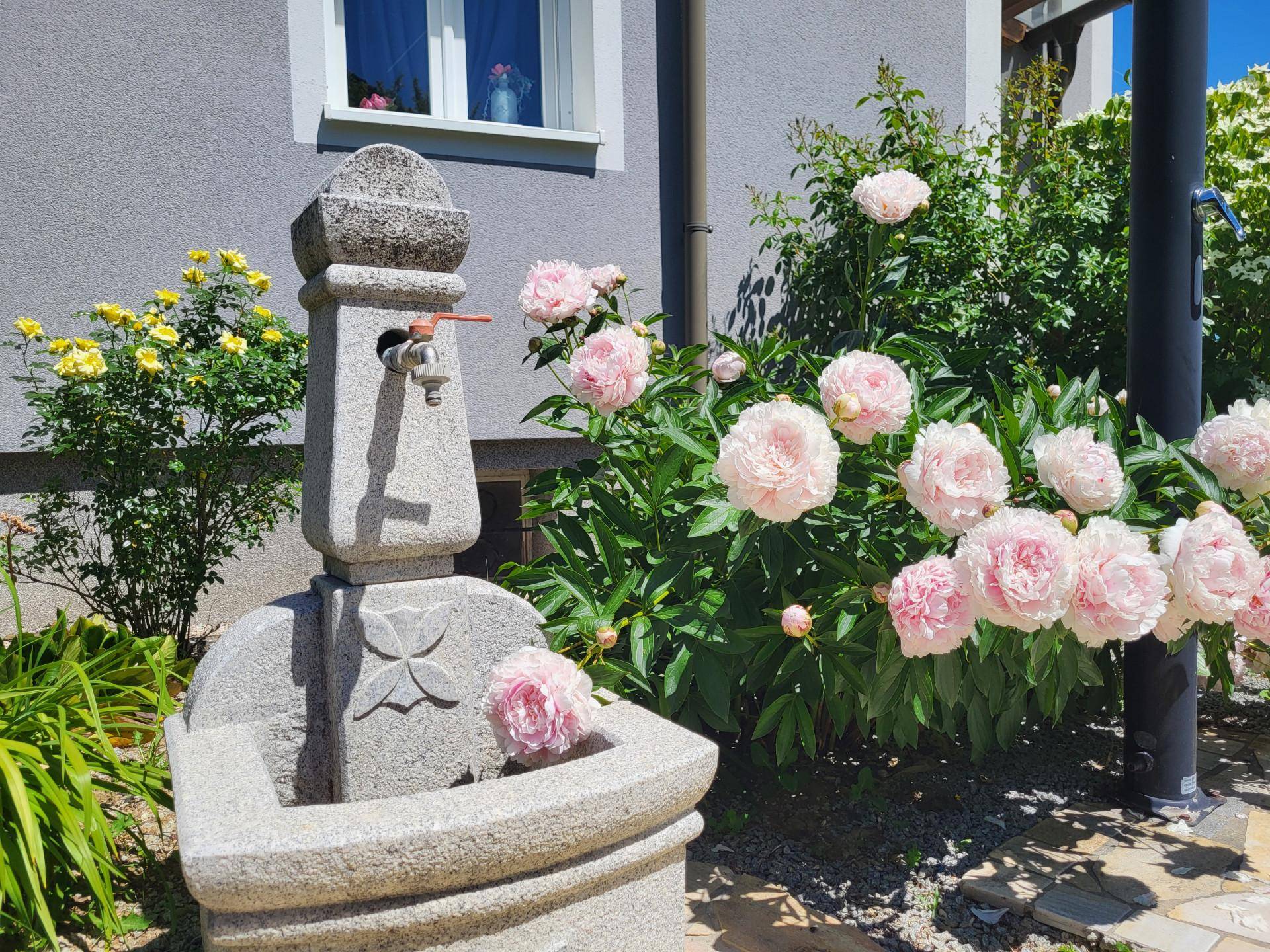 Dekorativer Steinbrunnen im Garten, umgeben von blühenden Pfingstrosen.