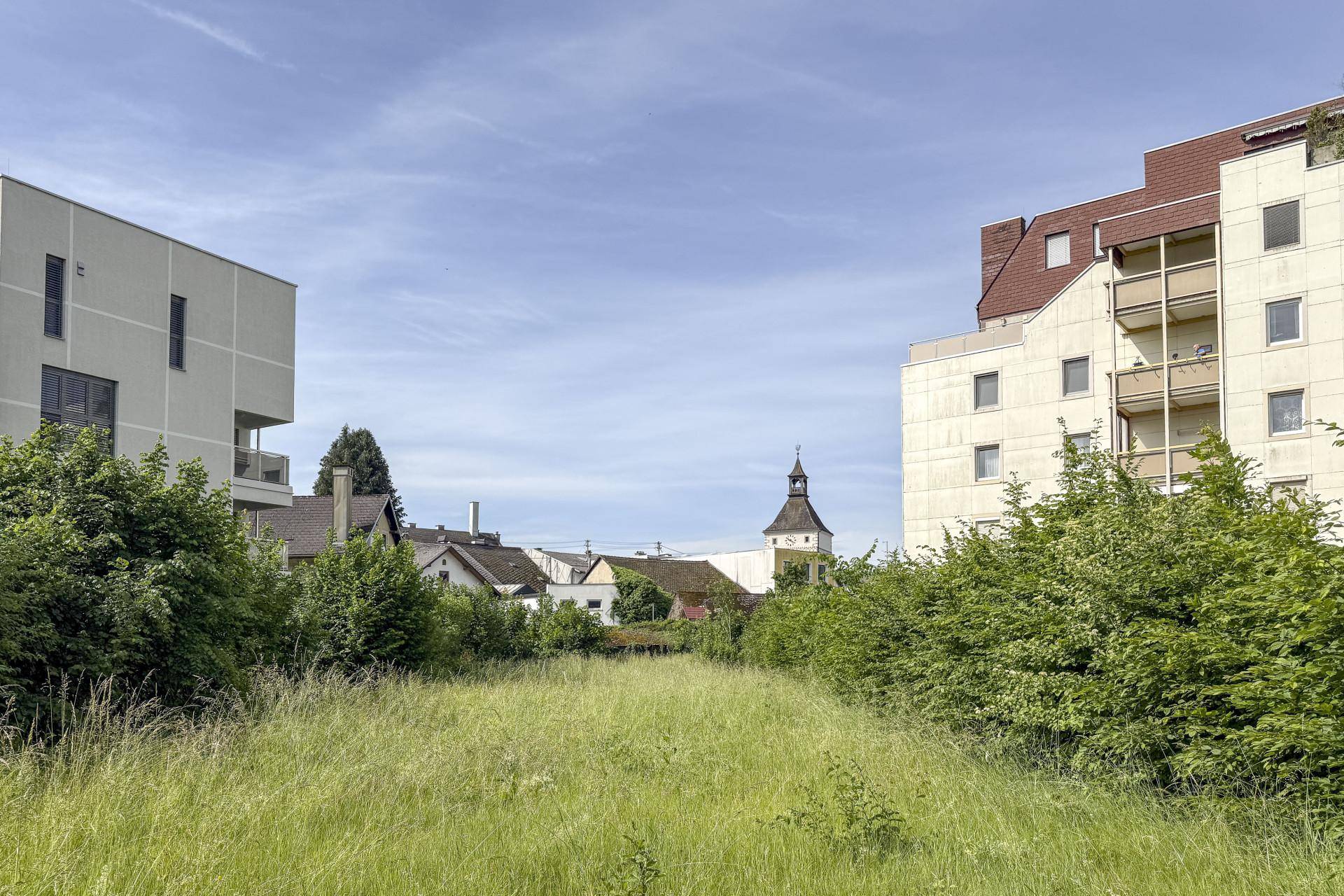 Blick über ein verwildertes Grundstück mit umliegenden Gebäuden und einem Kirchturm im Hintergrund.