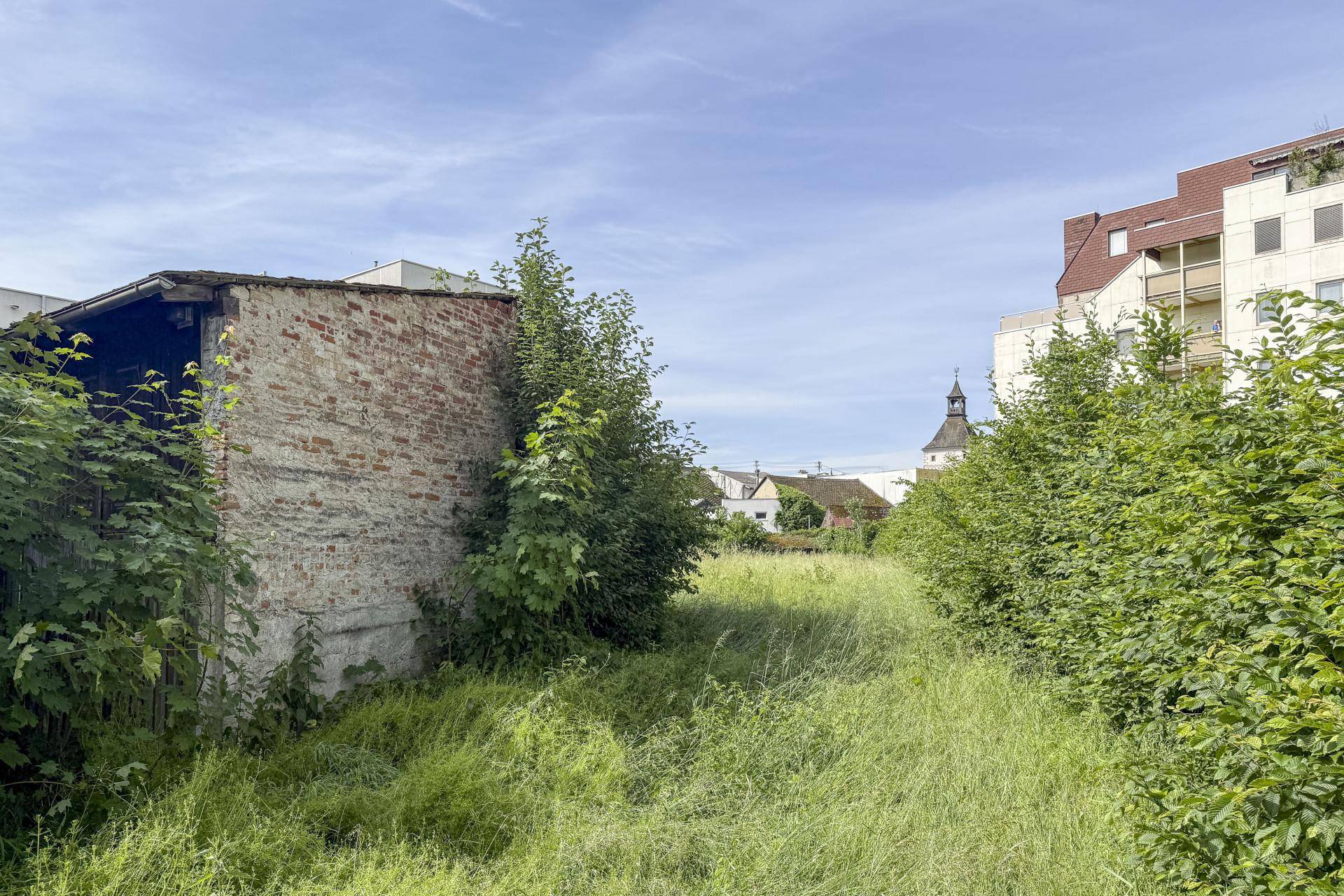 Verwildertes Grundstück mit einem alten Backsteingebäude und Blick auf die umliegende Bebauung.