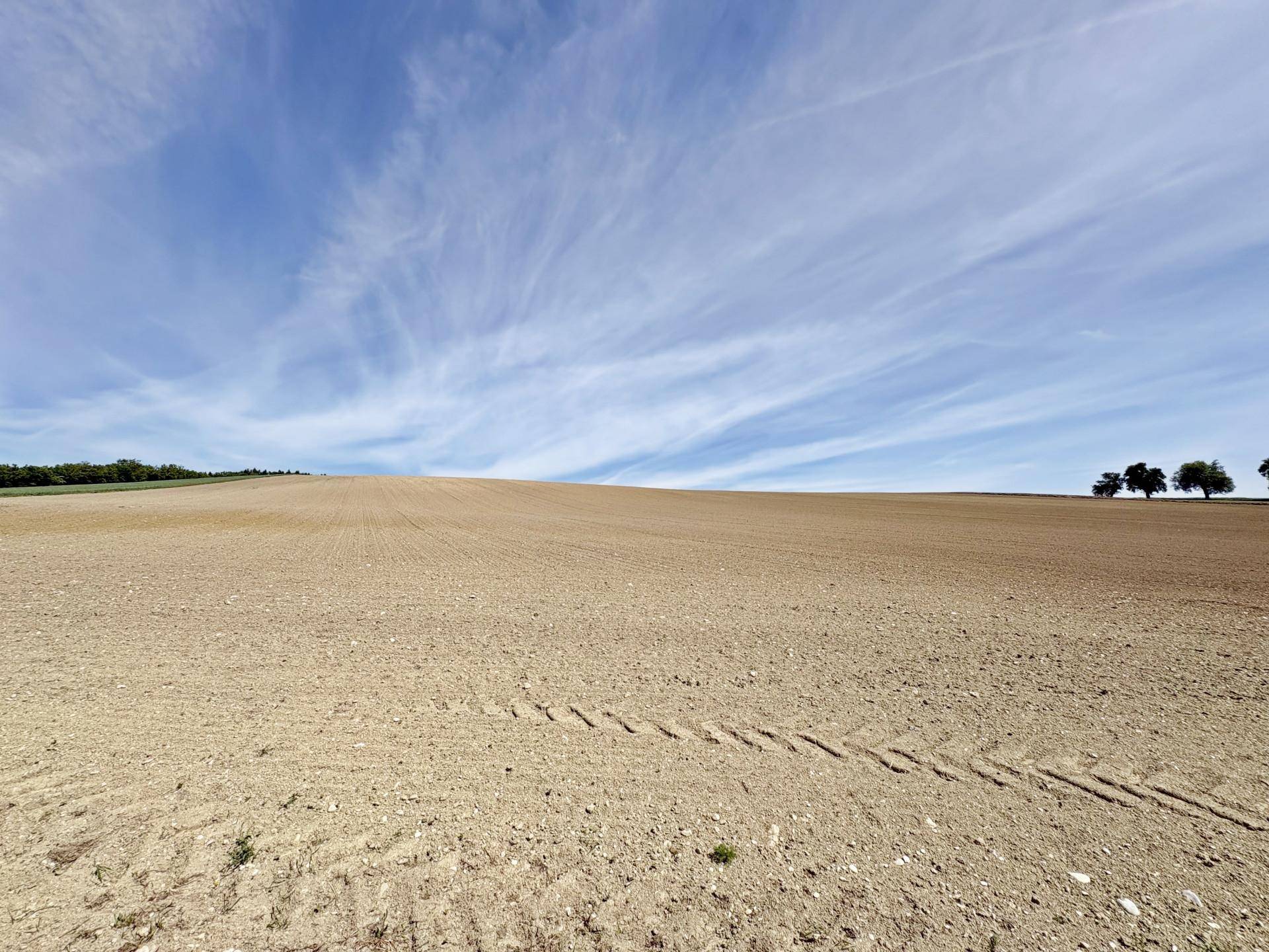 Weite Ackerlandschaft unter einem klaren blauen Himmel mit vereinzelten Bäumen am Horizont.