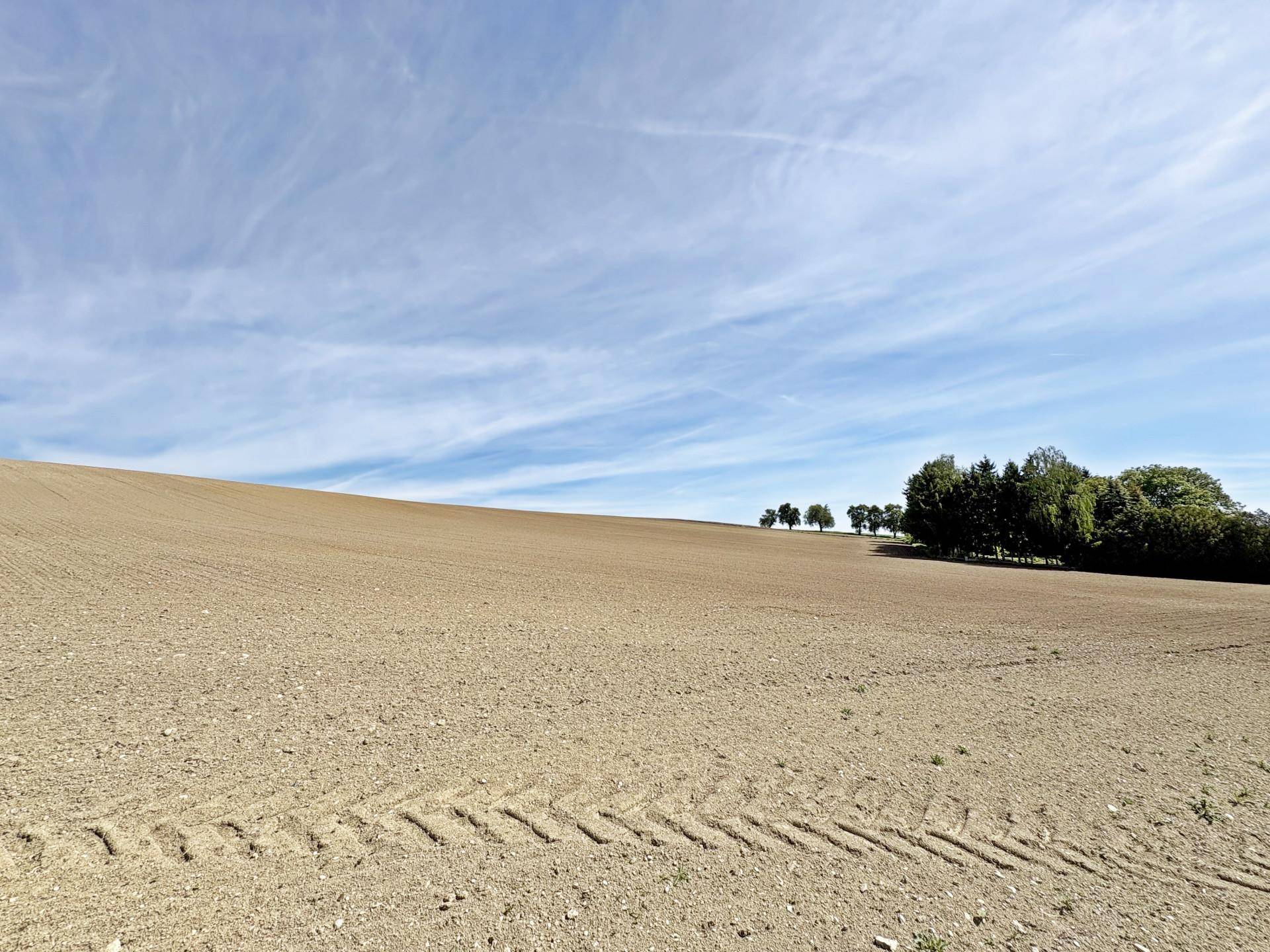 Offenes Feld mit Spuren von Reifen unter einem weiten Himmel und Baumgruppen in der Ferne.