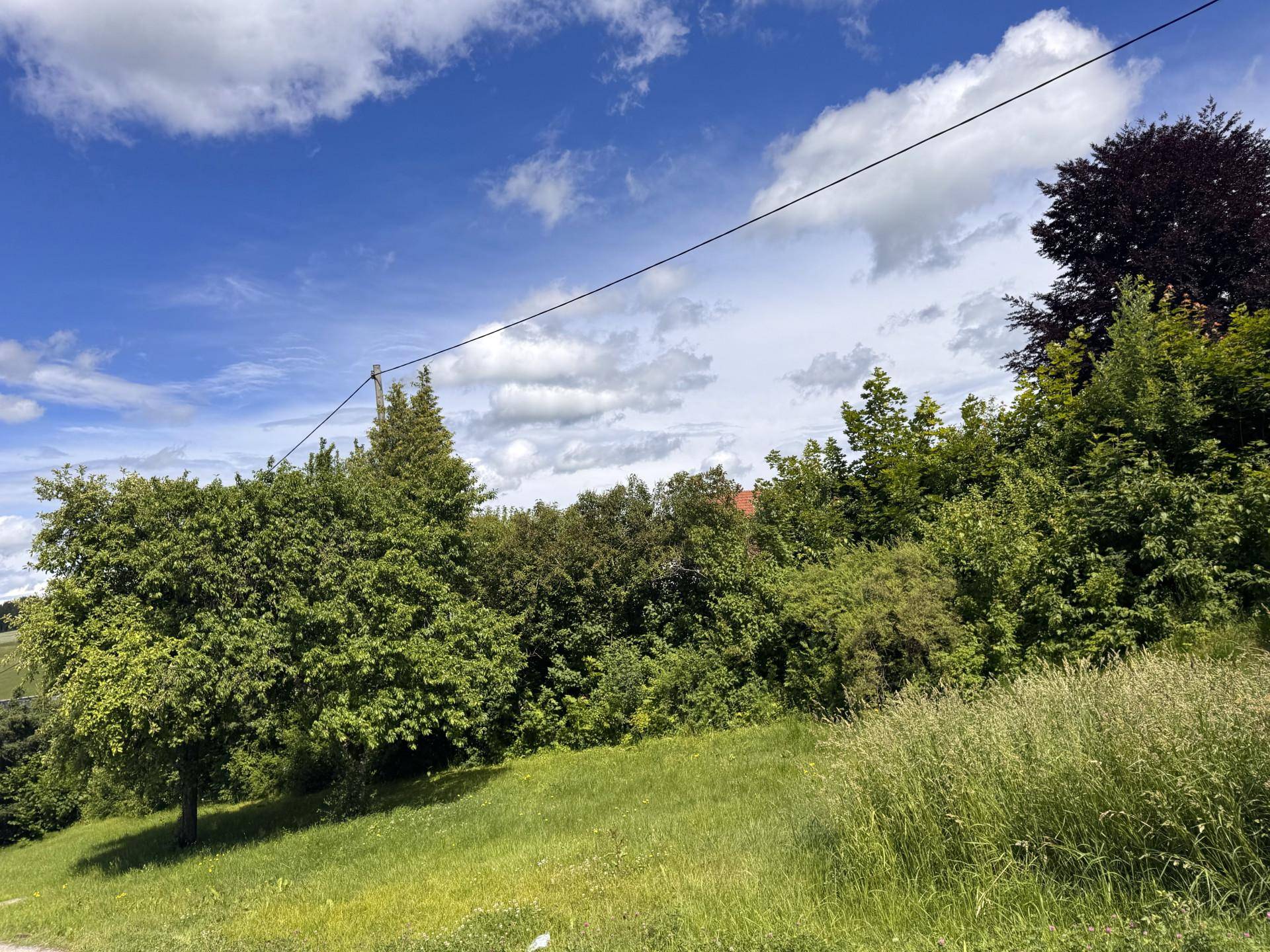 Weitläufige grüne Hügellandschaft mit Bäumen und Wiesen unter einem bewölkten Himmel.