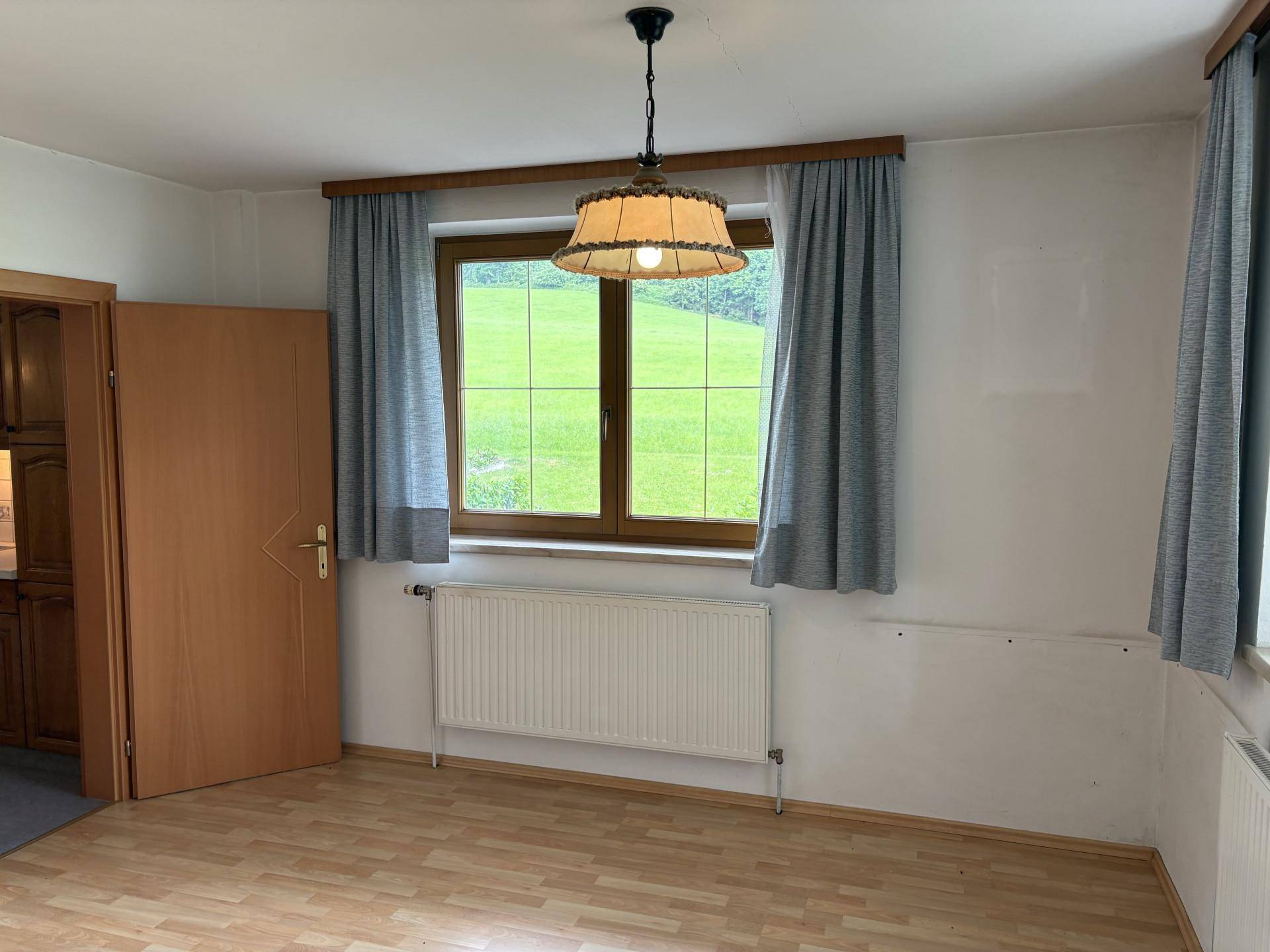 Heller Raum mit Laminatboden, einem großen Fenster mit Blick ins Grüne und einer Deckenleuchte.