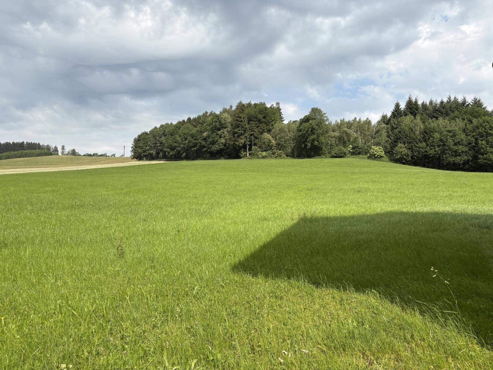 Grüne Wiesen unter bewölktem Himmel mit einem Waldstreifen am Horizont.