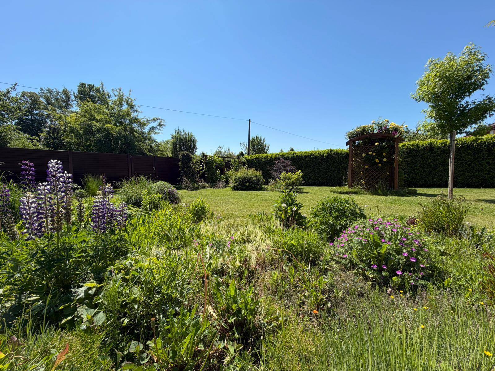 Gepflegter Garten mit Rasenfläche, Blumenbeeten und hohen Hecken für Privatsphäre an einem sonnigen Tag.