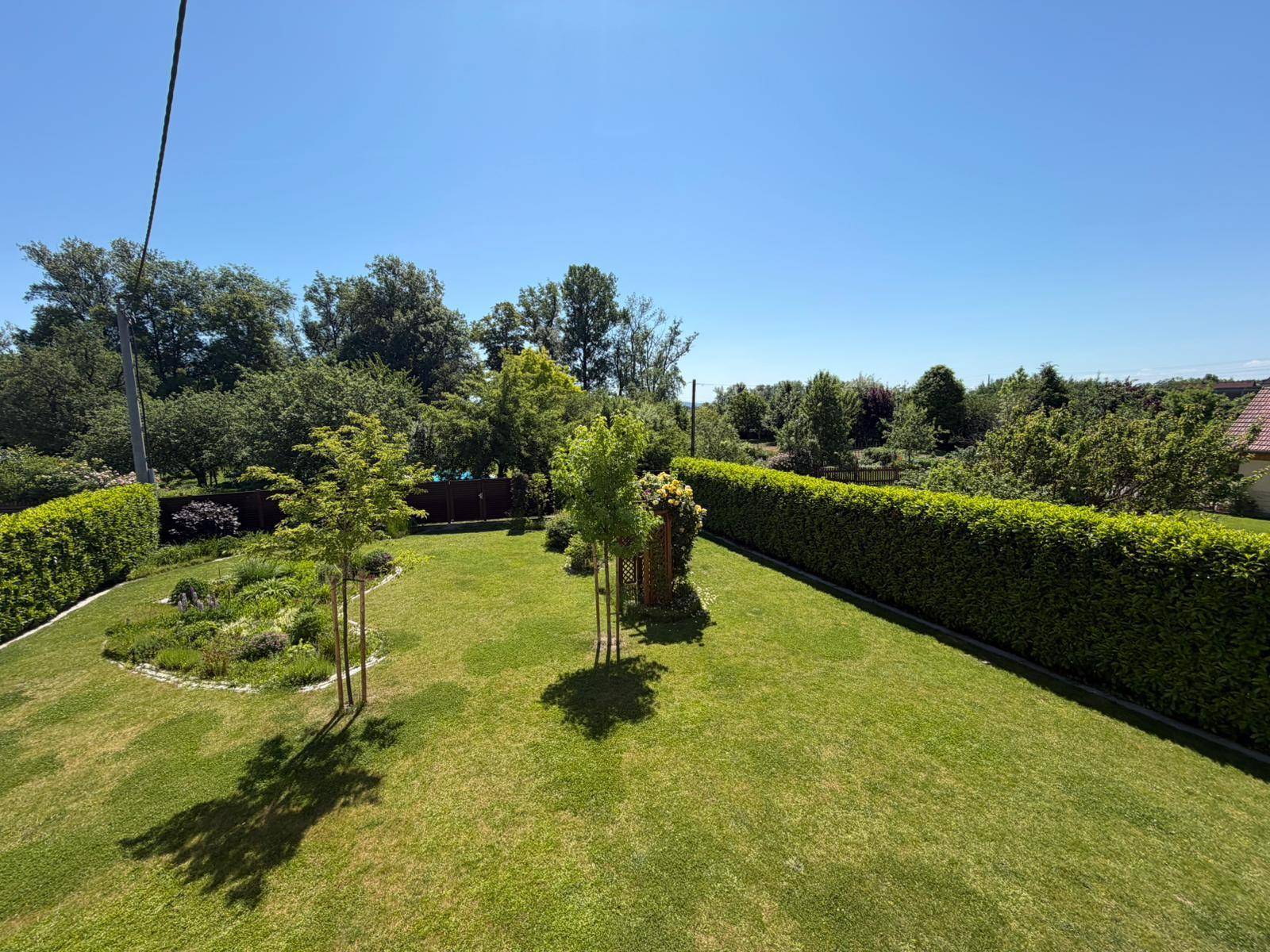 Weitläufiger Garten mit großer Rasenfläche, jungen Bäumen und üppiger Hecke unter blauem Himmel.