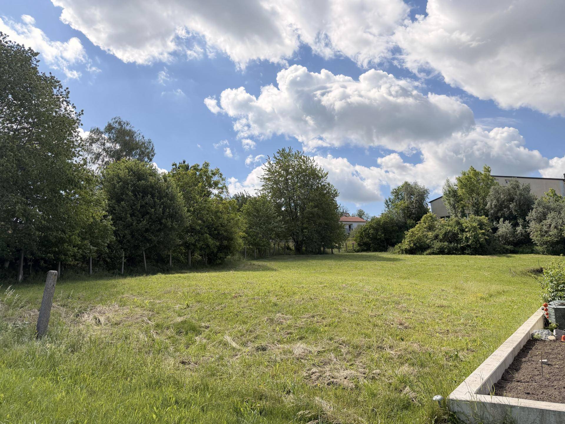 Sonniges grünes Grundstück mit Bäumen und einem vorbereiteten Gartenbeet unter blauem Himmel.