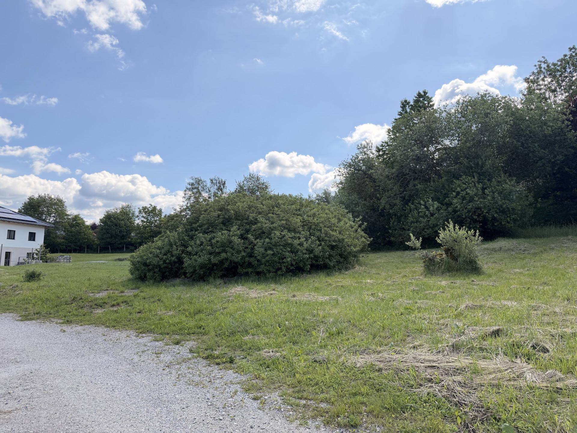 Offenes Wiesengrundstück mit Büschen und Bäumen, angrenzend an einen Schotterweg.