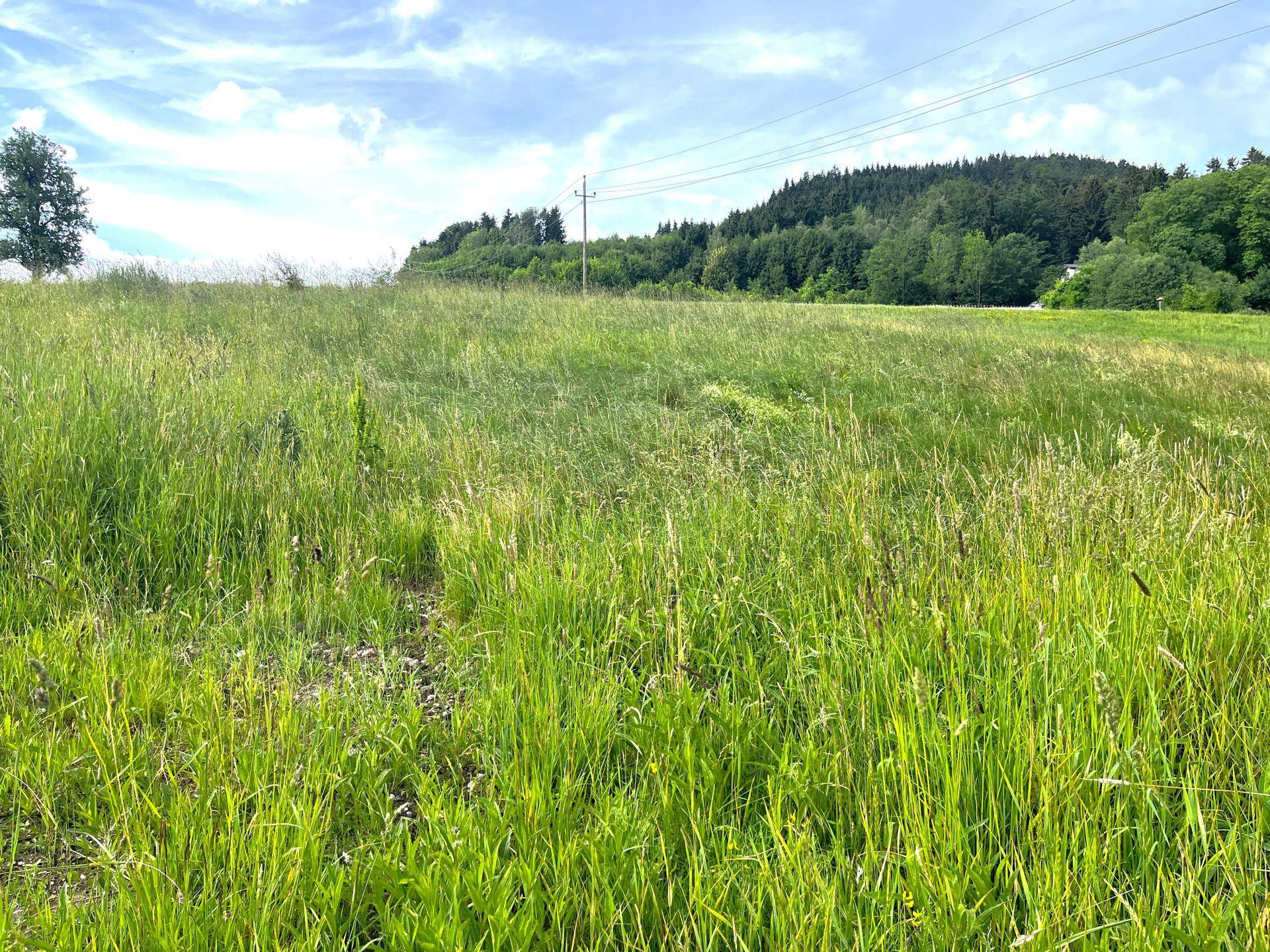 Ruhiger Baugrund mitten in der Natur ohne Bauzwang! - Ansicht 2