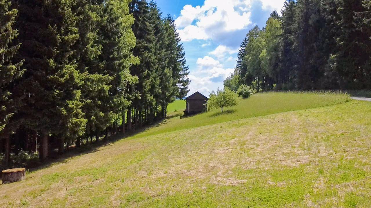 Großzügiger Baugrund in naturnaher Umgebung im Mühlviertel - Ansicht 2