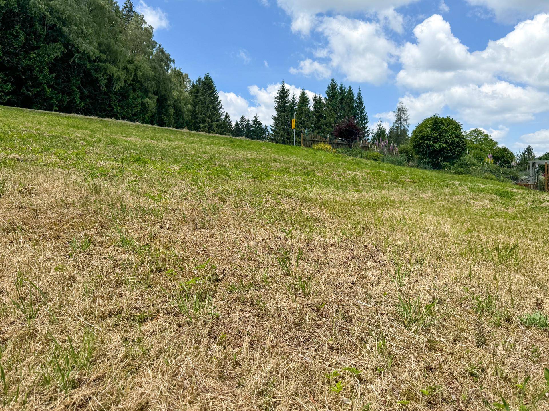 Großzügiger Baugrund in naturnaher Umgebung im Mühlviertel - Ansicht 3