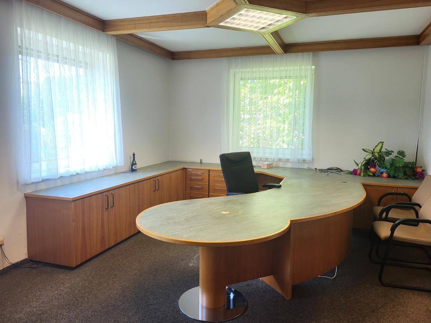 Geräumiges Büro mit Holzdeckenbalken, großem Schreibtisch und Blick ins Grüne.