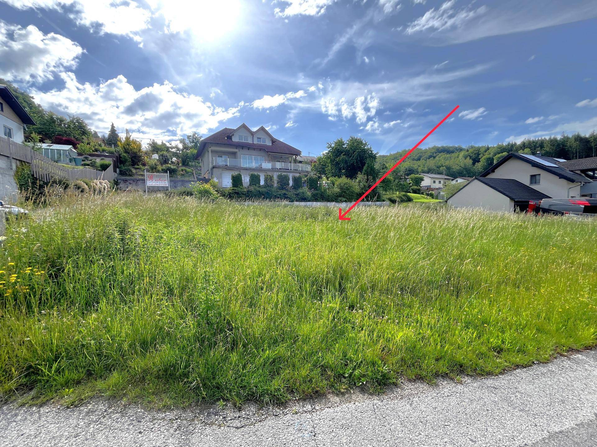 Baugrund in Siedlungslage ohne Bauzwang! - Ansicht 3