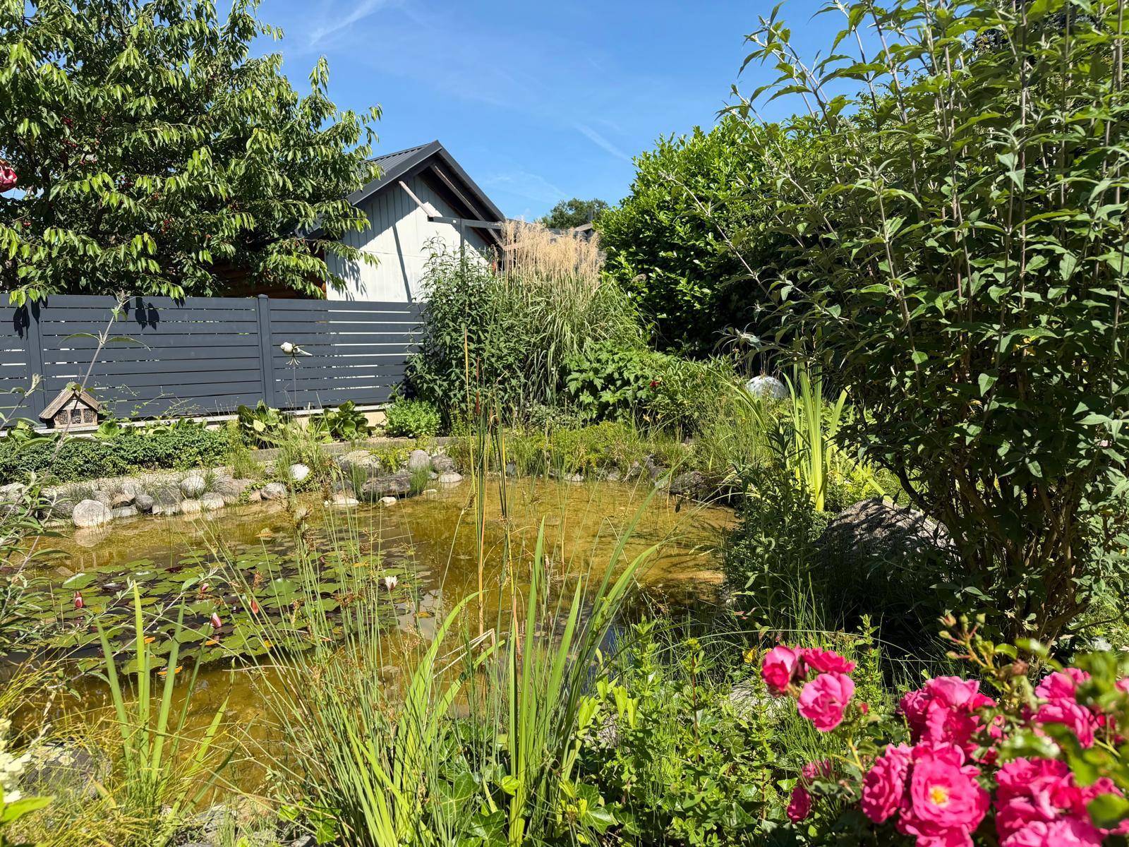 Detailansicht des Gartenteichs mit Seerosen und vielfältiger Bepflanzung im Sonnenlicht.
