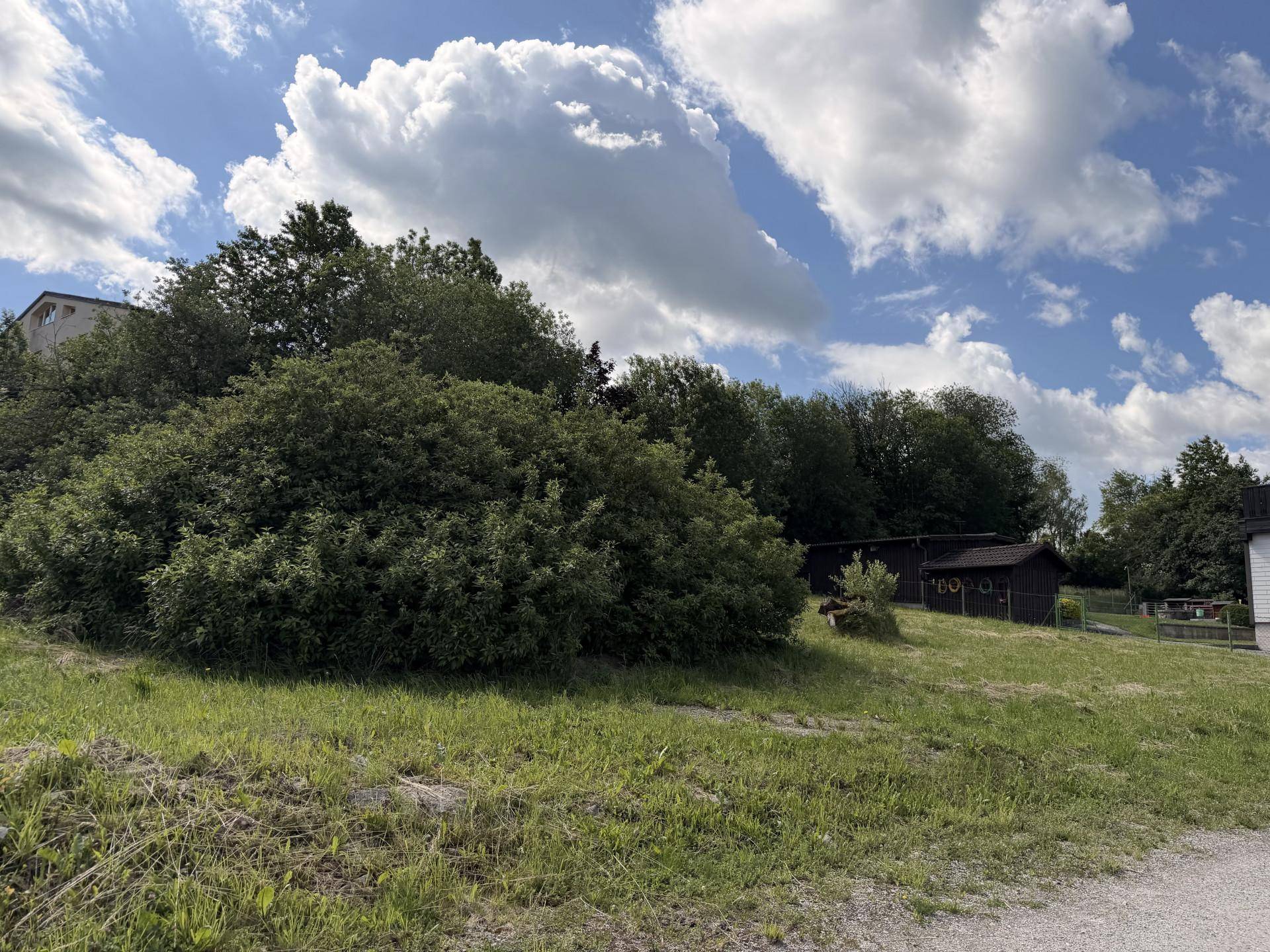 Grüne Hanglage mit dichten Büschen, Bäumen und kleinen Holzhütten unter einem bewölkten Himmel.