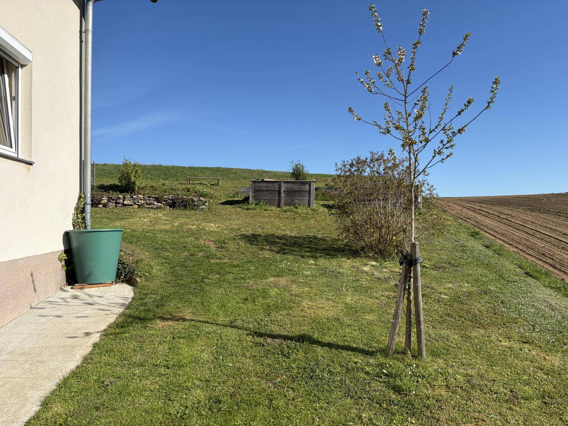 Grüner Gartenbereich mit jungem Baum und Blick auf die umliegende Natur.