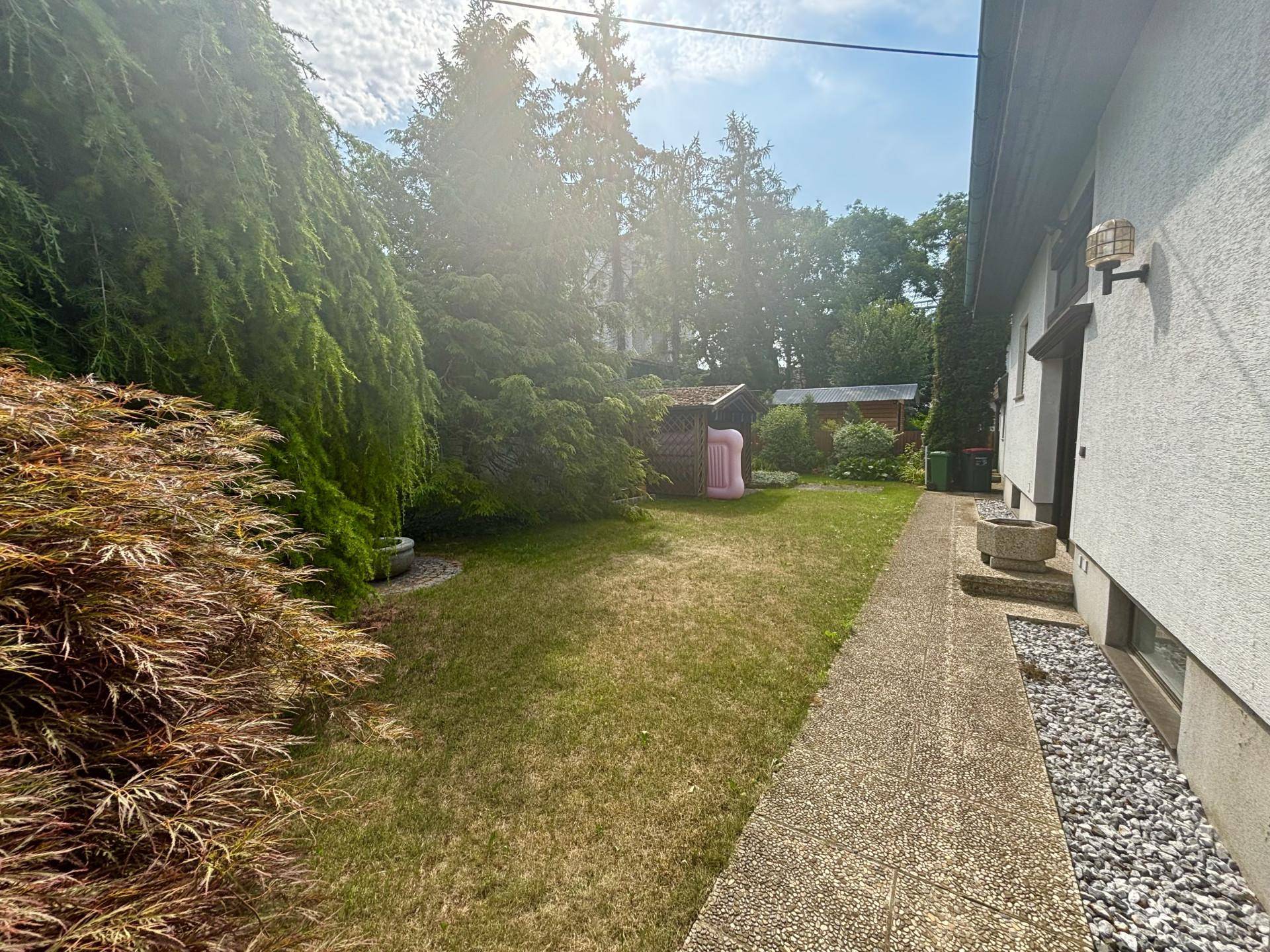 Seitlicher Gartenbereich mit Rasen, hohen Bäumen und einem schmalen Kiesweg.