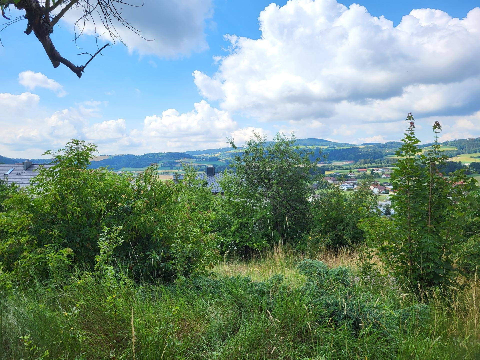 Weitläufiger Blick über grüne Hügel und eine ländliche Siedlung unter einem blauen Himmel mit Wolken.