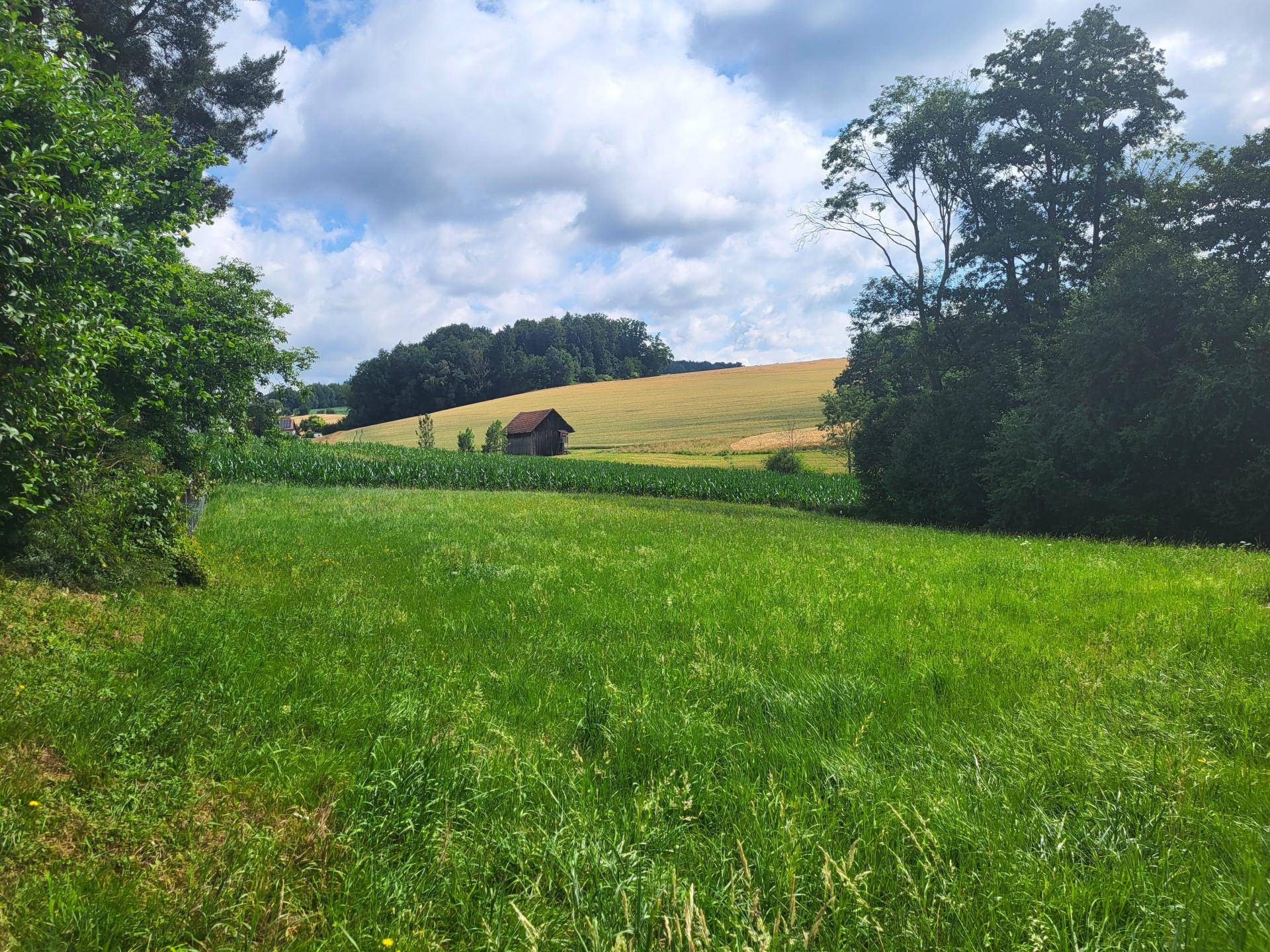 Idylle PUR! Kein Trubel - nur NATUR! – pohled 2