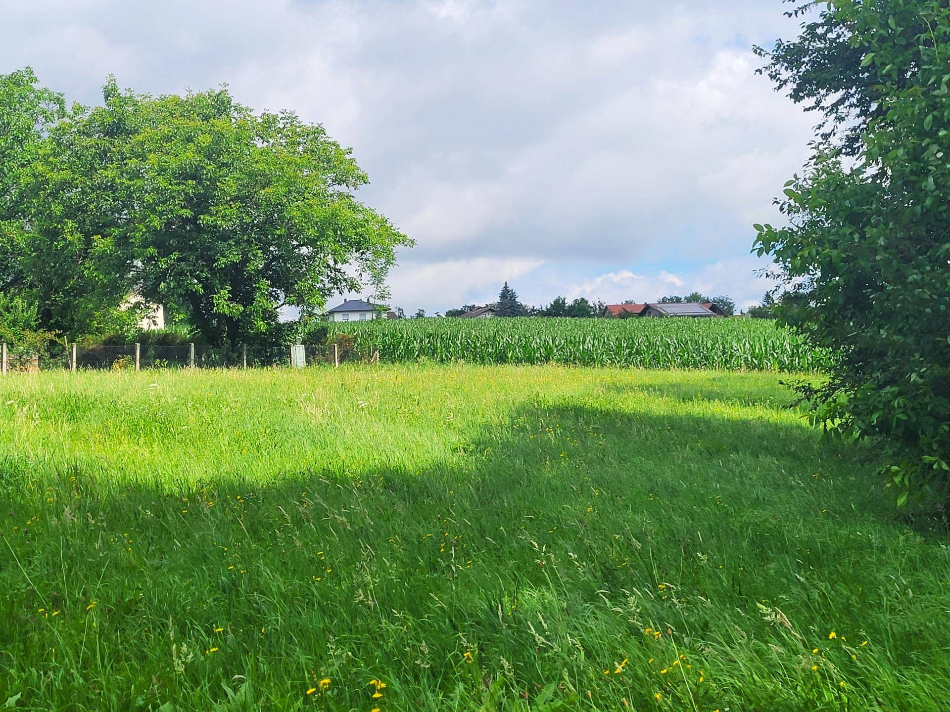 Idylle PUR! Kein Trubel - nur NATUR! – pohled 3