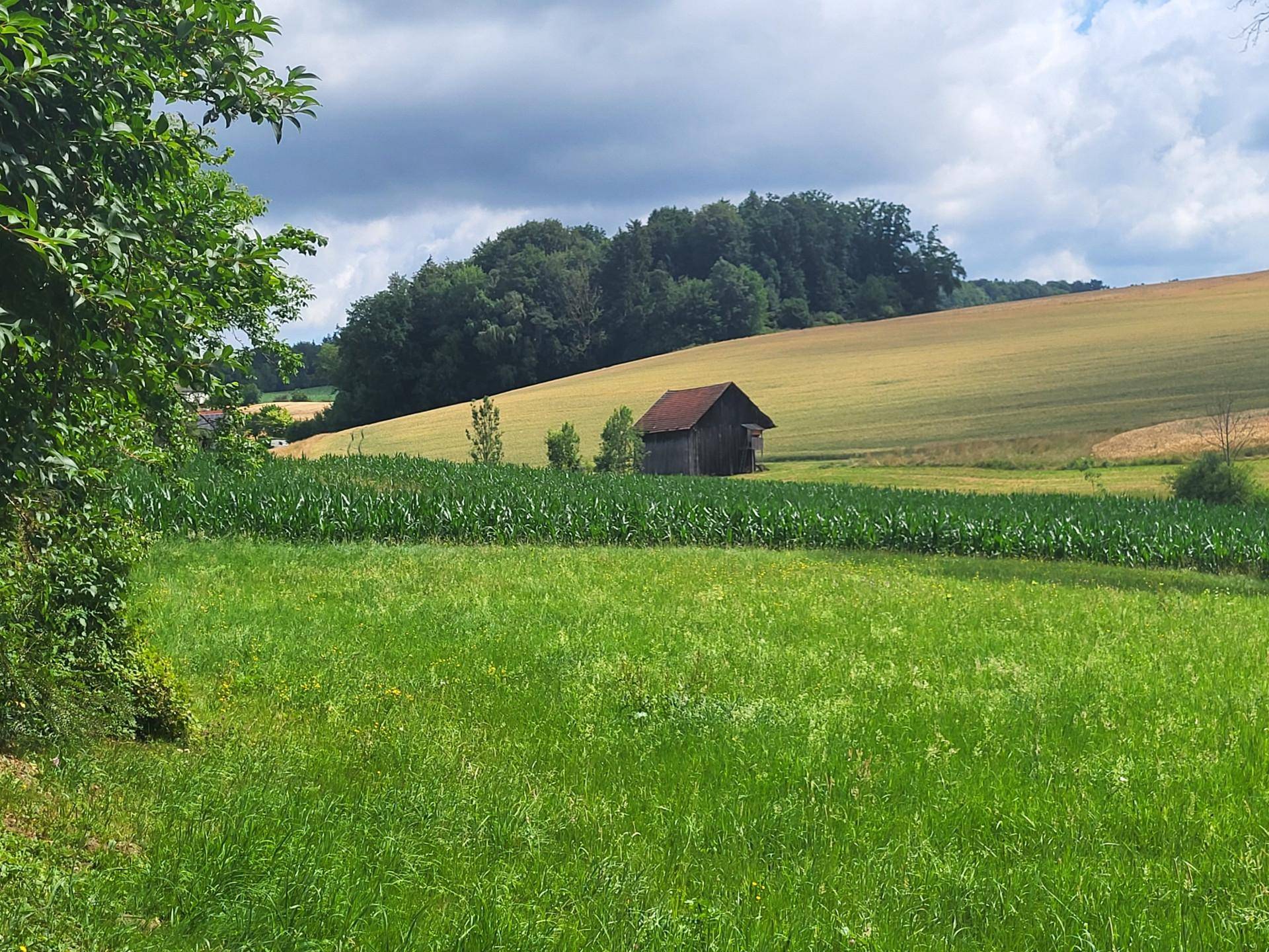 Idylle PUR! Kein Trubel - nur NATUR! – pohled 4