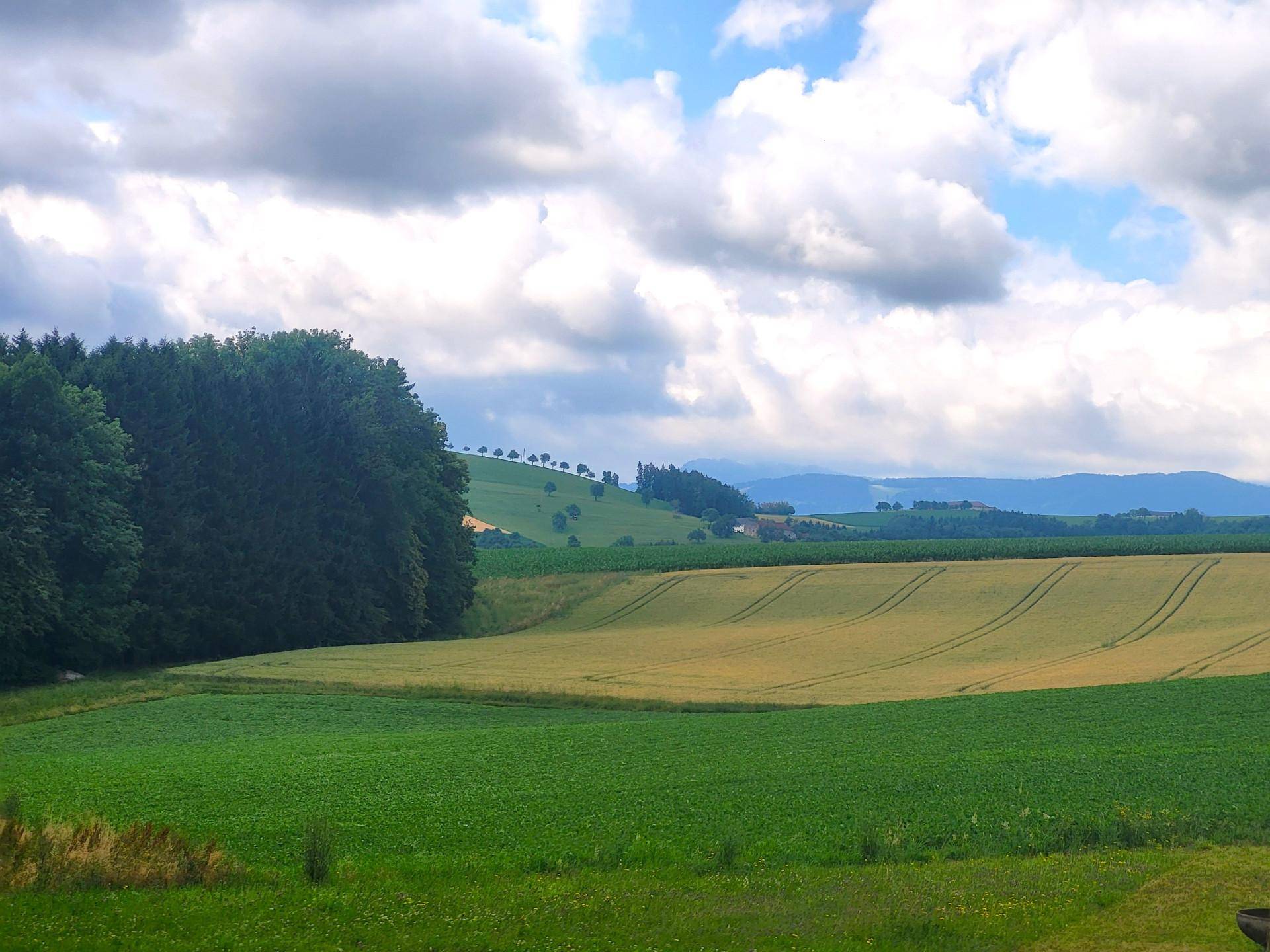 Idylle PUR! Kein Trubel - nur NATUR! – pohled 5