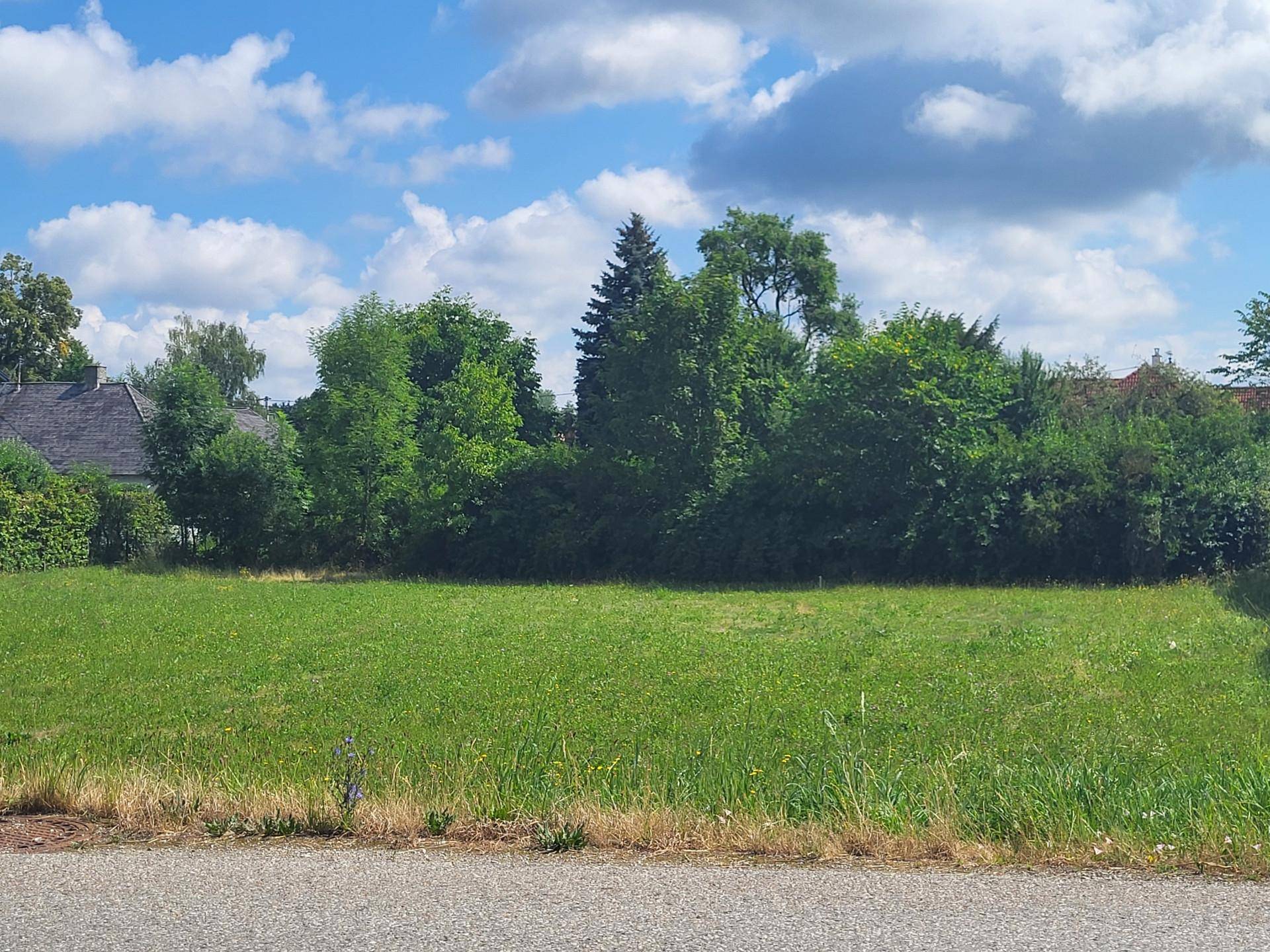Grünes Baugrundstück mit Rasen und Bäumen im Hintergrund, ideal für ein neues Zuhause.