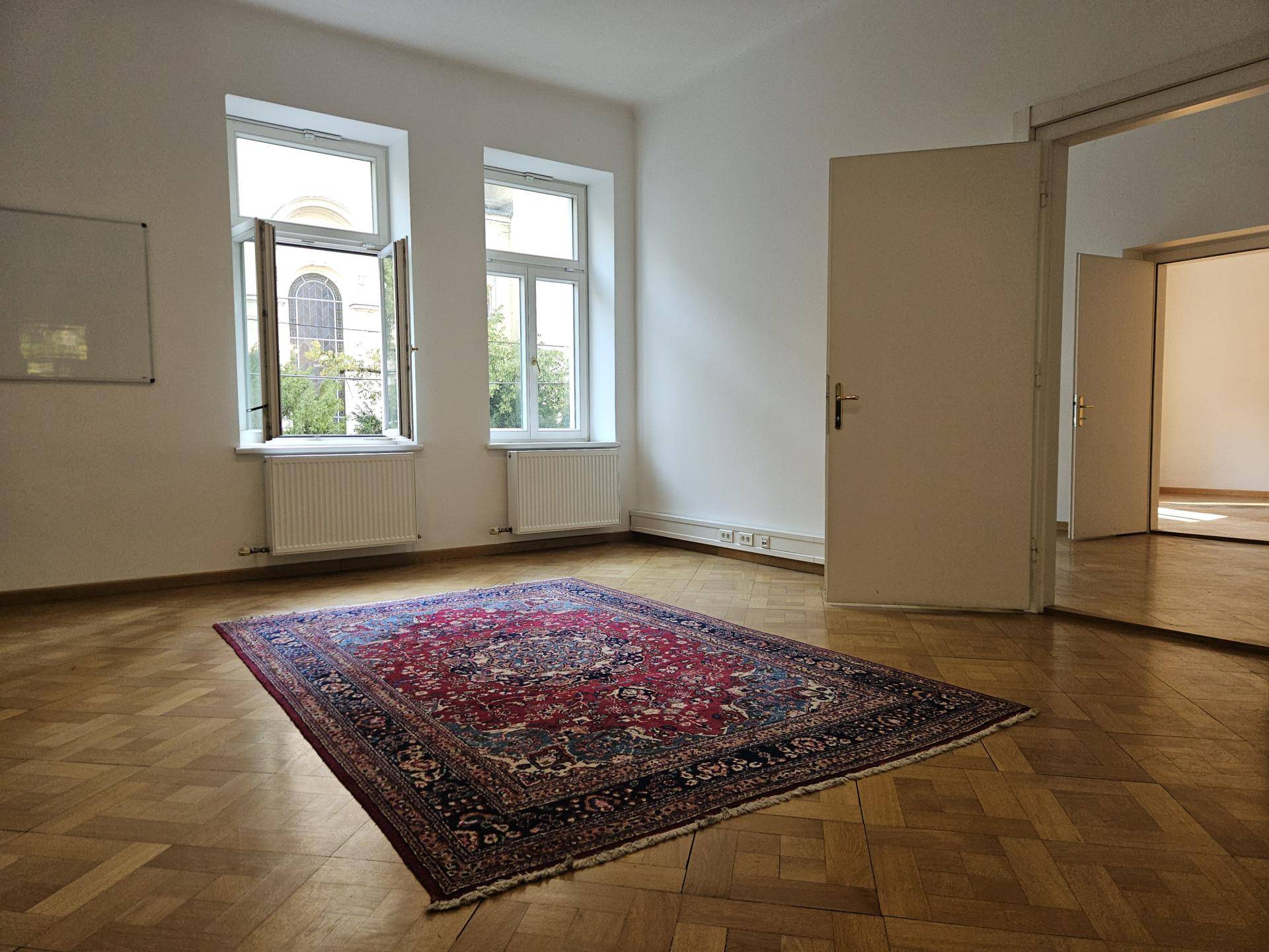 Geräumiger, heller Raum mit Parkettboden, einem großen Teppich und zwei Fenstern.