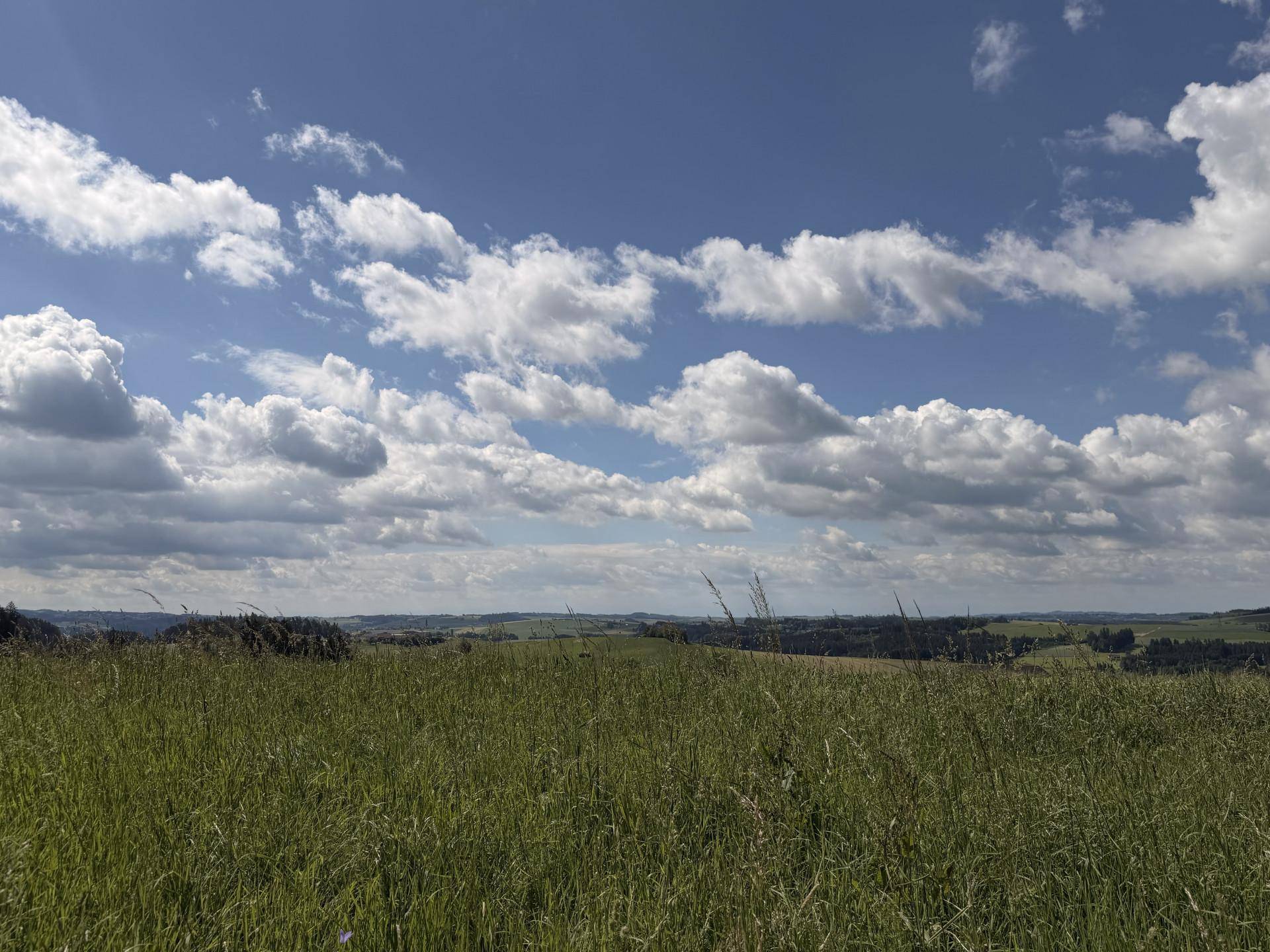 Ausblick