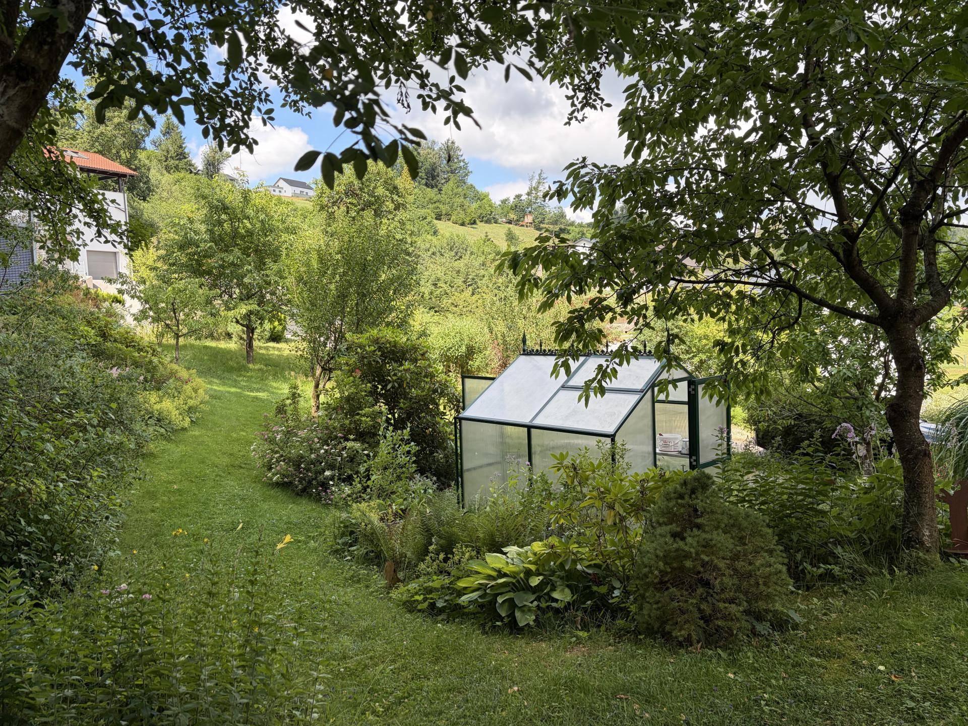 Großer, gepflegter Garten mit Rasenfläche, Bäumen und einem kleinen Gewächshaus.