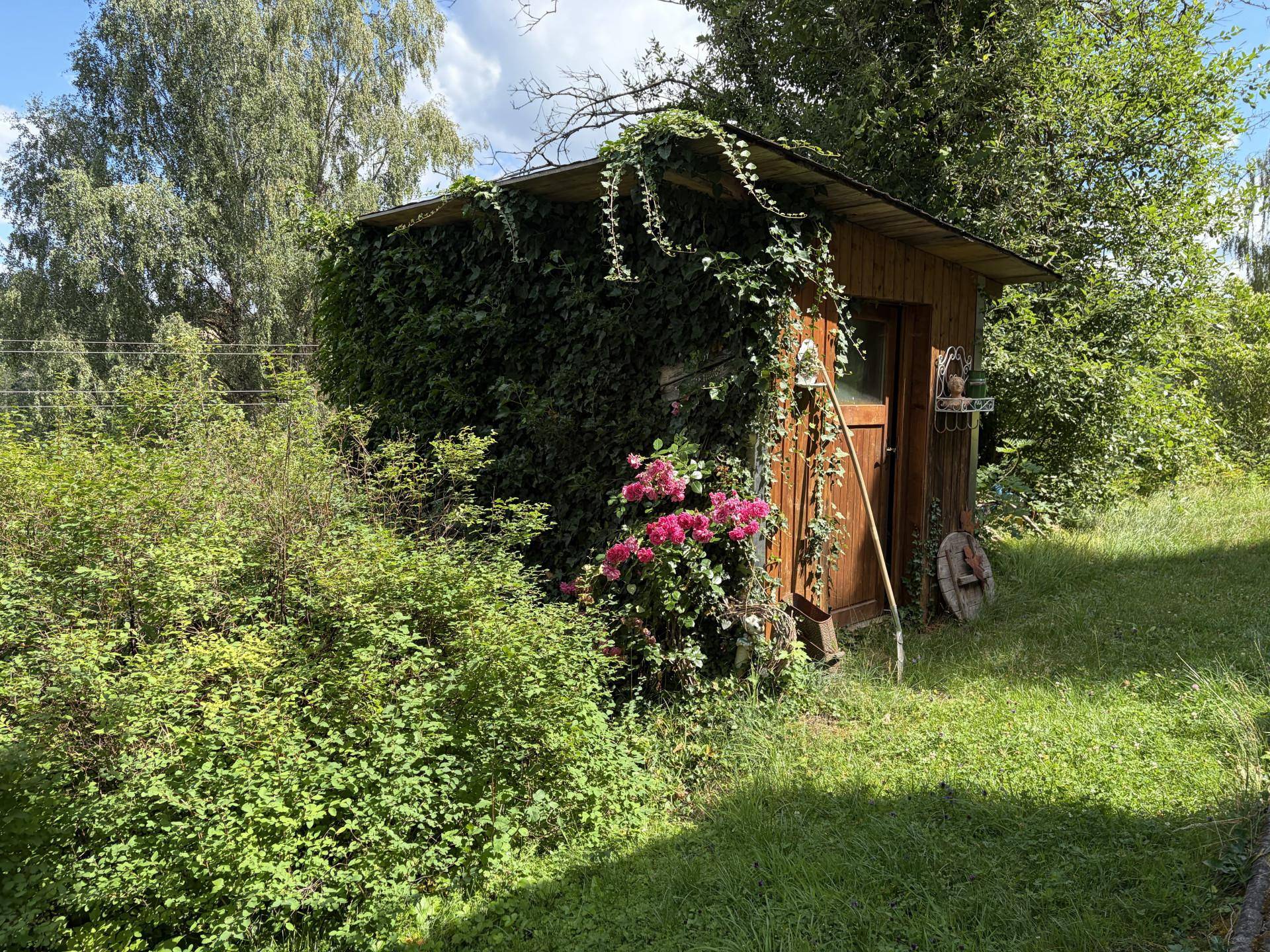 Rustikaler Gartenschuppen, umrankt von Efeu und umgeben von blühenden Sträuchern.