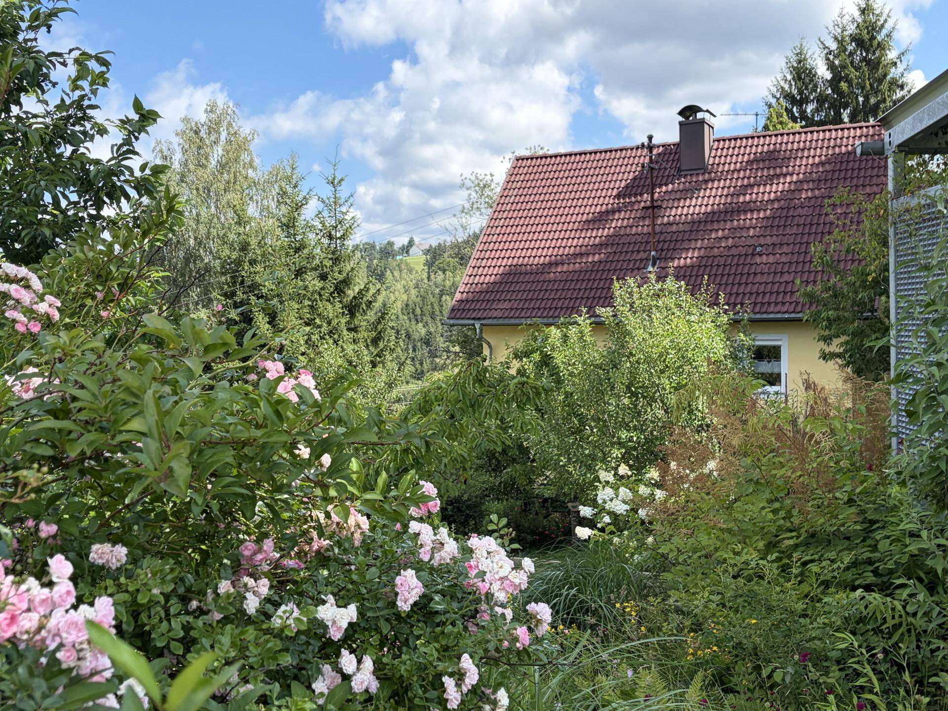 Blühender Rosengarten mit Blick auf das gelbe Haus und die umliegende Landschaft.