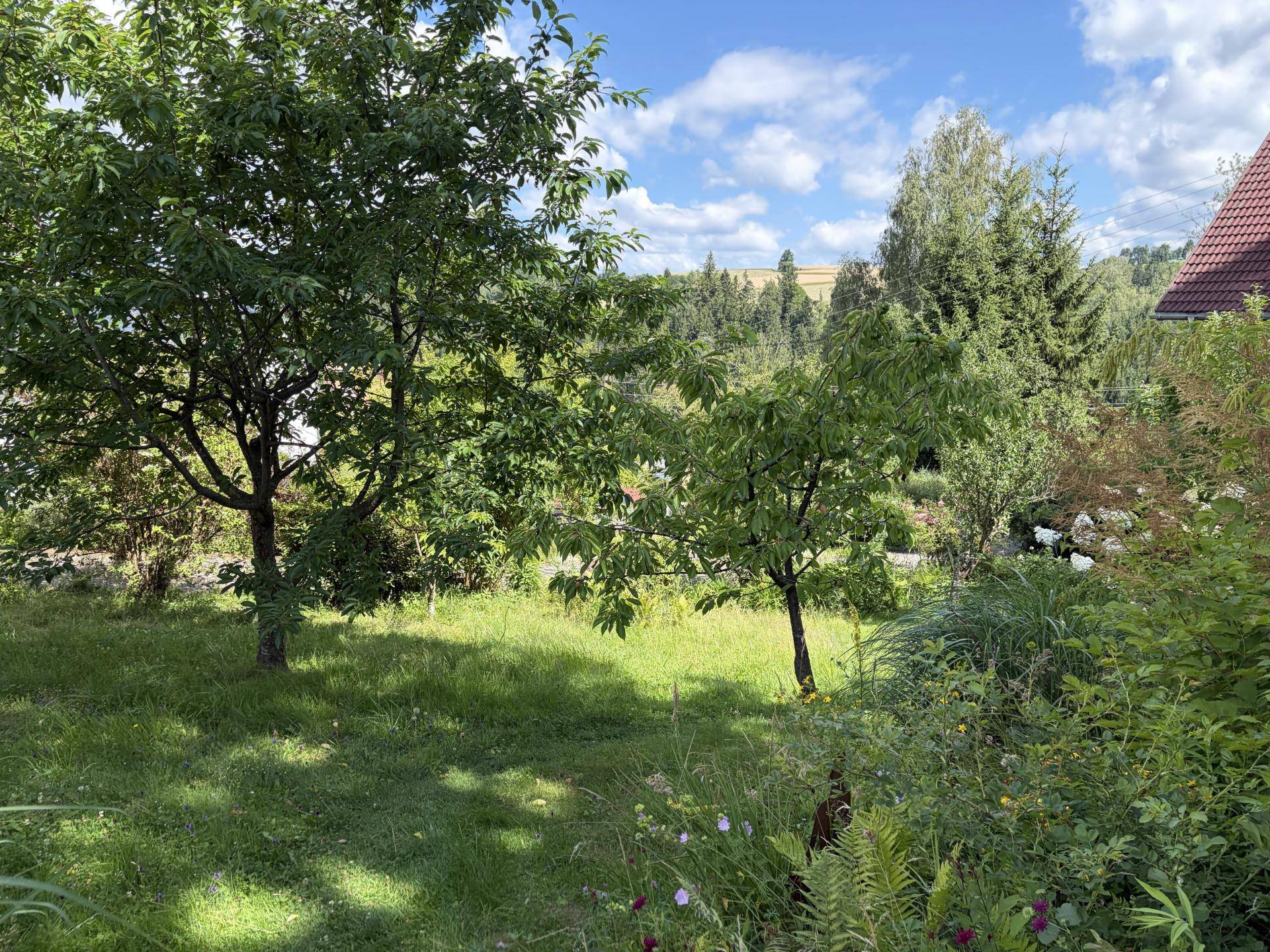Große Rasenfläche mit Obstbäumen und Blick auf die hügelige Landschaft.