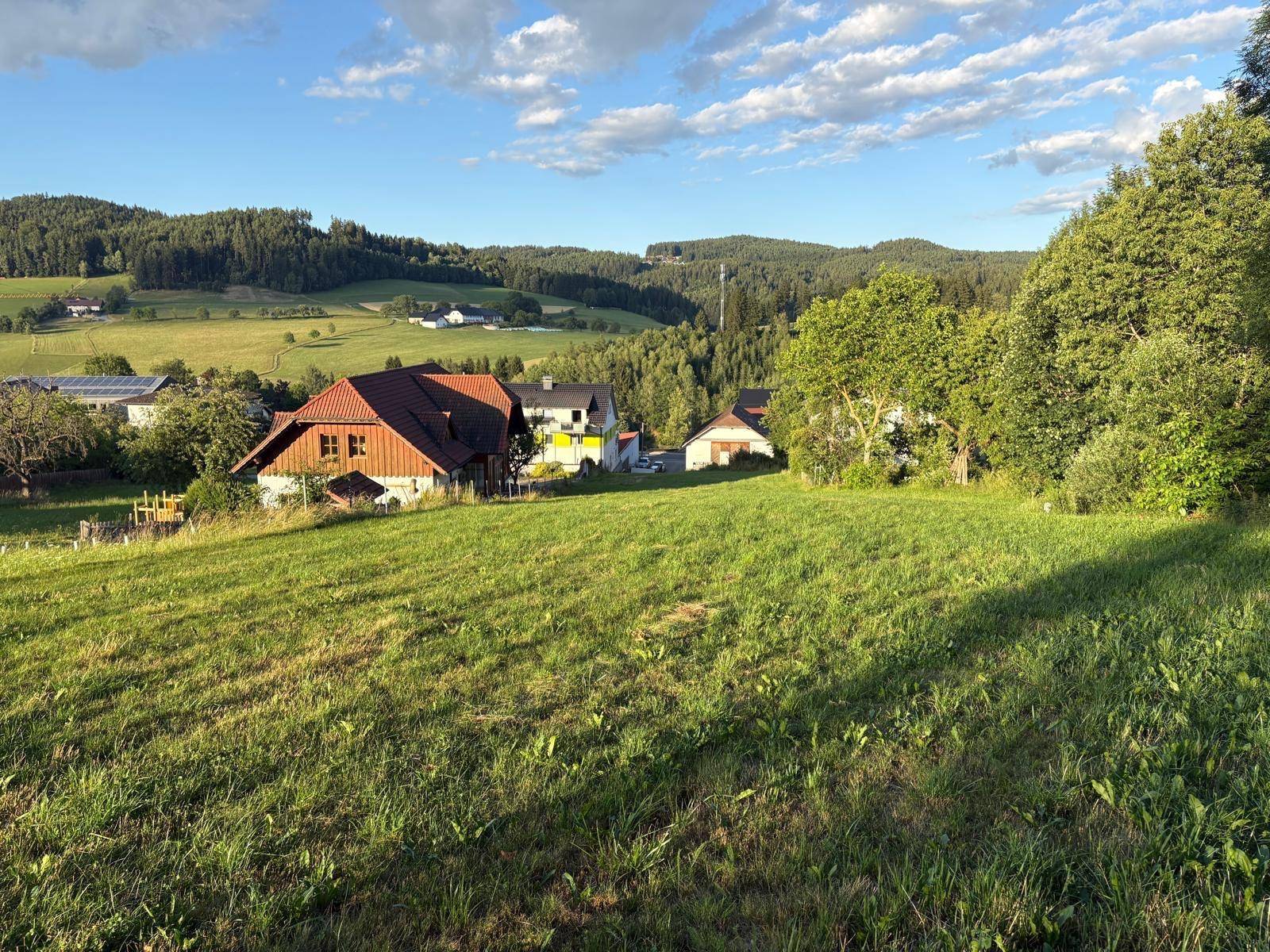 Weitläufige grüne Landschaft mit mehreren Häusern in der Ferne unter blauem Himmel. Sonniges Wetter.