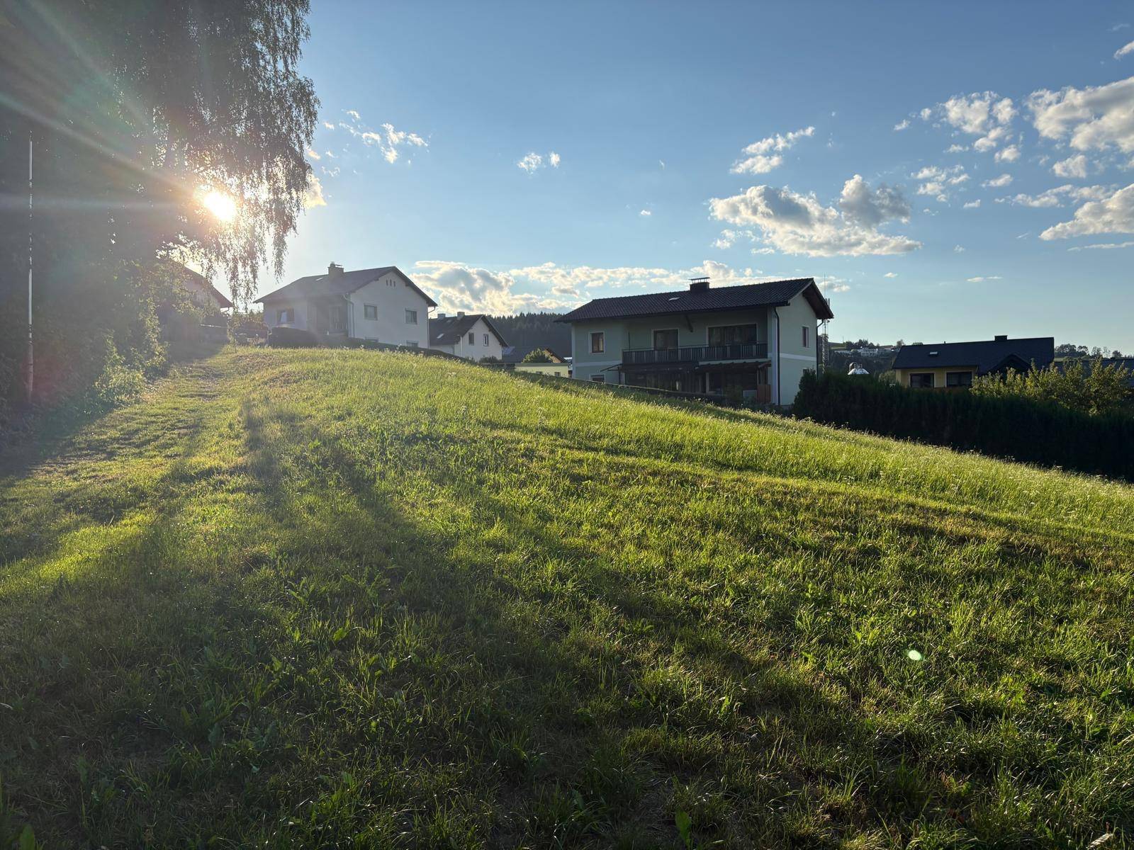 Weitläufige grüne Wiese mit Häusern in der Ferne und Bäumen am Horizont. Blauer Himmel.