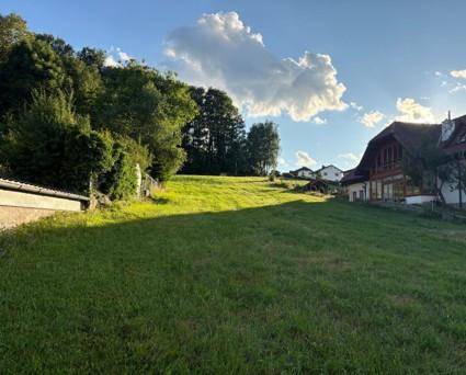 Grüne Wiese mit Bäumen und einem Gebäude am Horizont unter einem bewölkten Himmel. Sonnenschein.