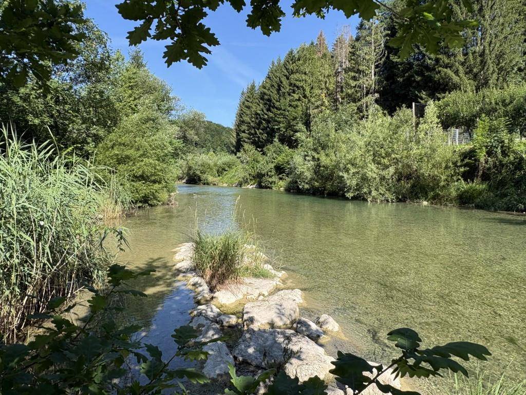 Klarer Flusslauf in einer natürlichen Umgebung, umgeben von üppigem Grün und Bäumen.