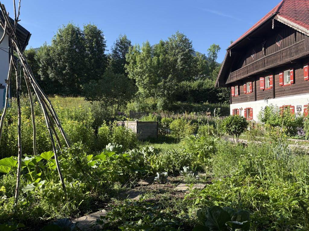 Großer Gemüsegarten mit verschiedenen Pflanzen und Blick auf das traditionelle Haus.