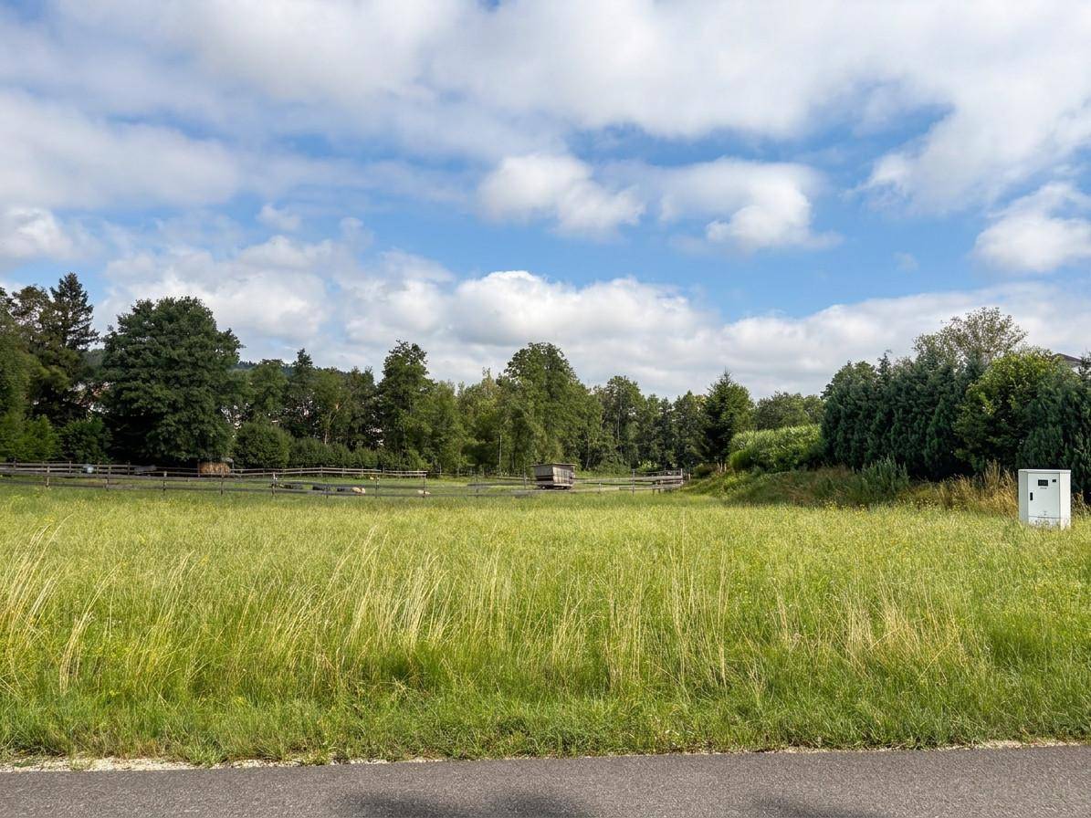 Blick über eine weite Wiese mit einer Straße im Vordergrund und einem Zaun sowie Bäumen am Horizont.