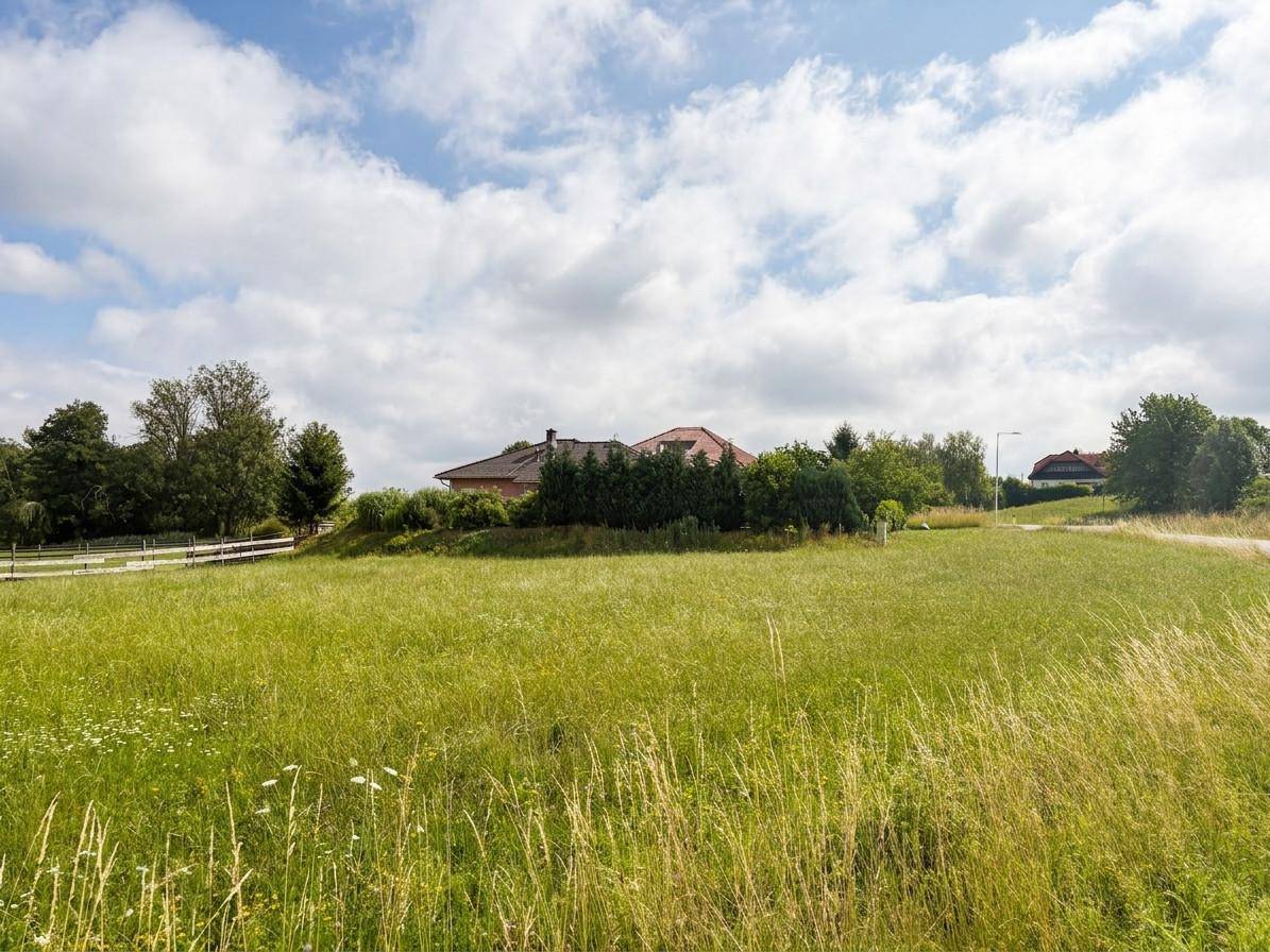 Panoramablick über eine sonnige Wiese mit einem Wohnhaus und Bäumen am Horizont unter bewölktem Himmel.