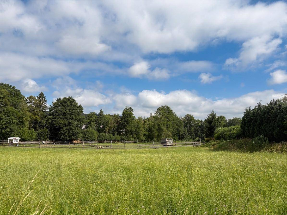 Ausgedehnte grüne Weidefläche mit Holzzaun und dichtem Baumbestand im Hintergrund unter blauem Himmel.